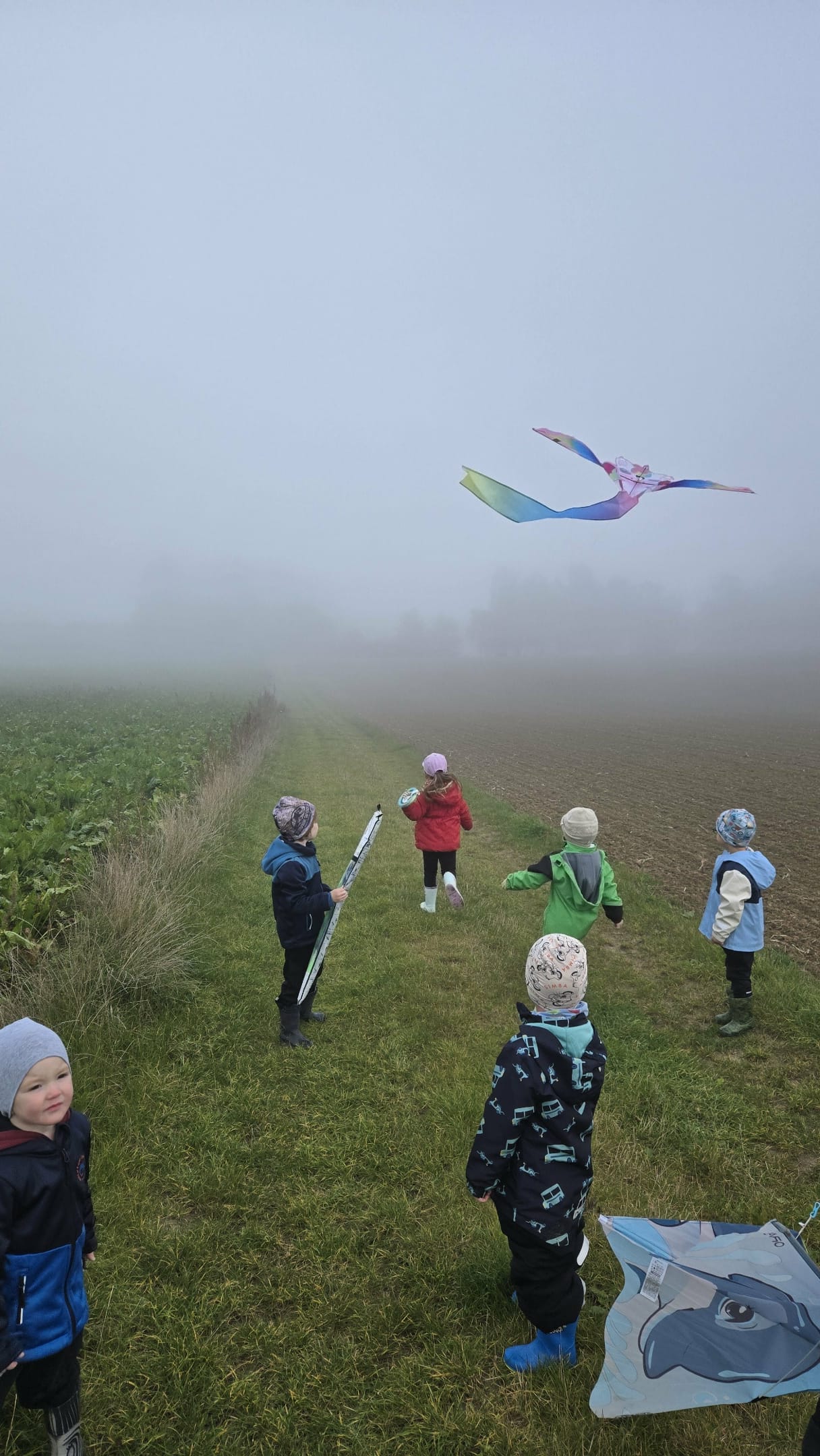 1e34e13b-dc70-4dc4-b93d-9a7df3806e5f