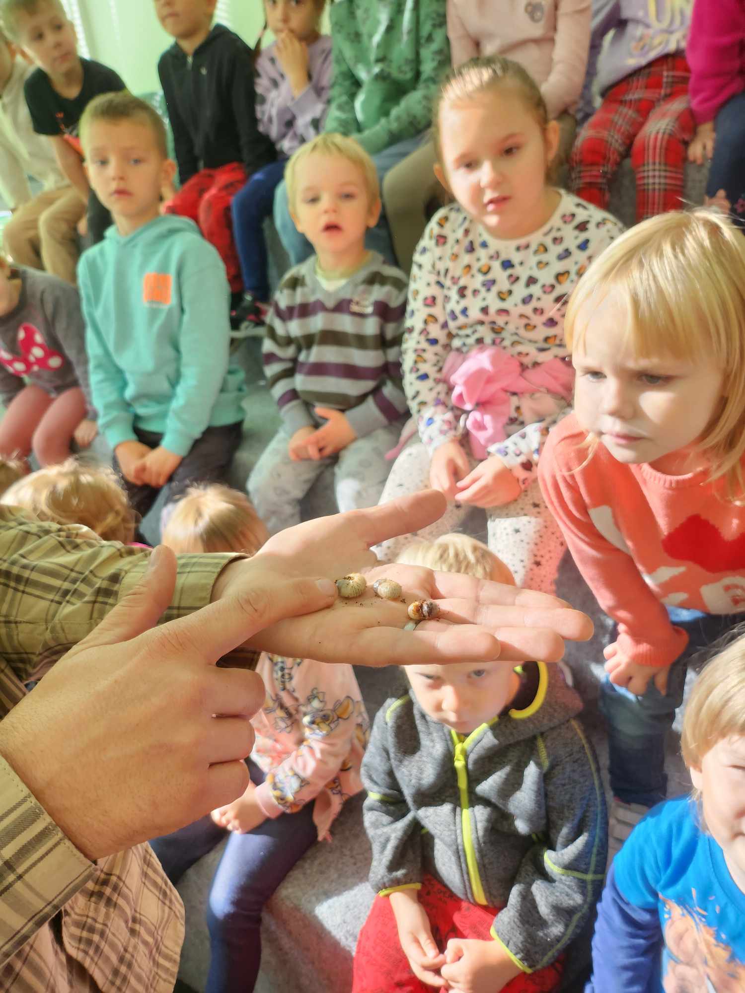 461782606_907510504590816_7807765084087232479_n