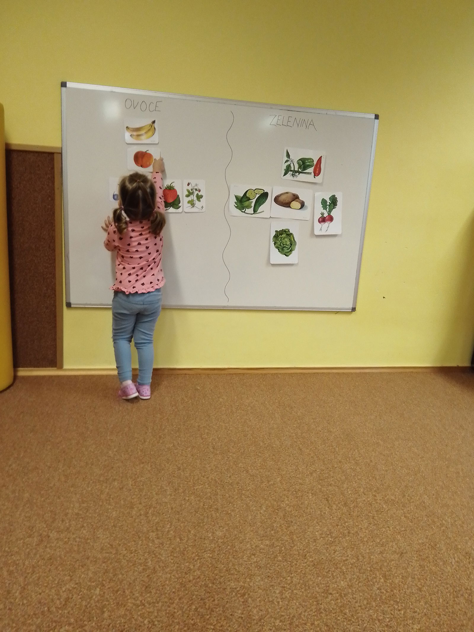 IMG_20230919_081126_380