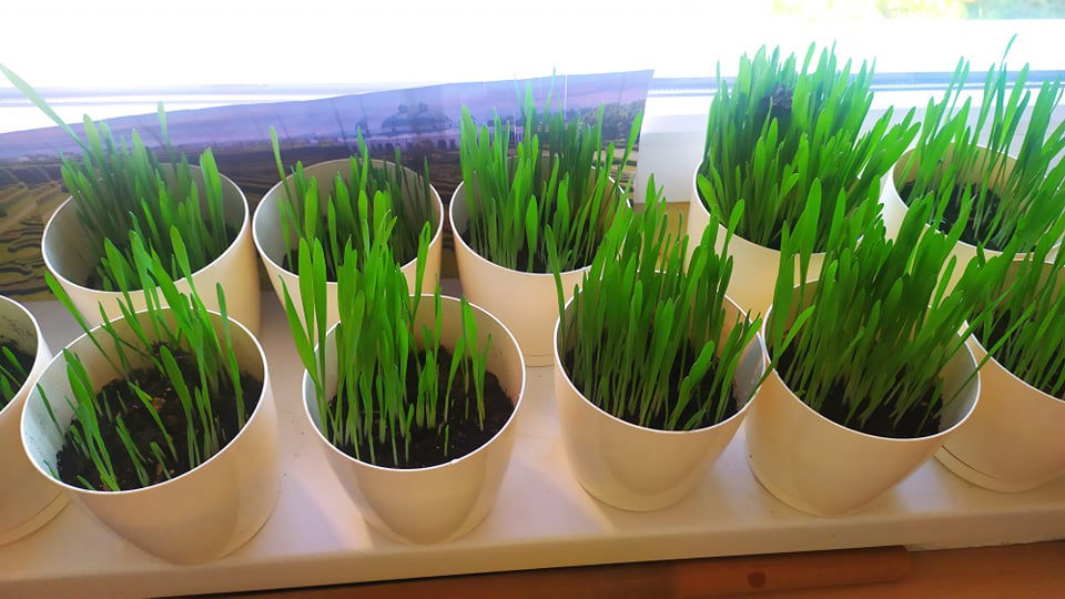 278344244_477872940741878_371094924458376648_n