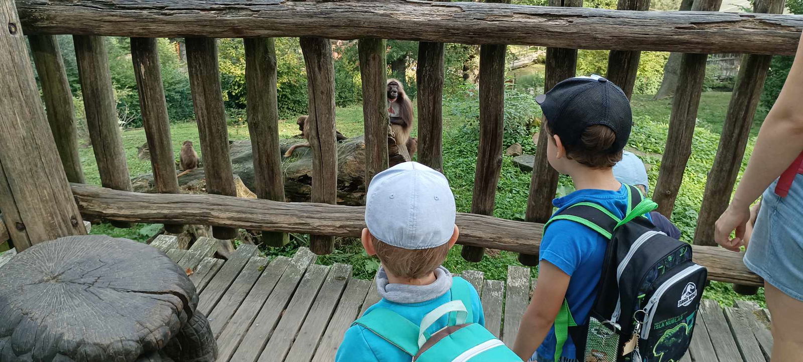 379348645_730728015532273_5052702645069116516_n