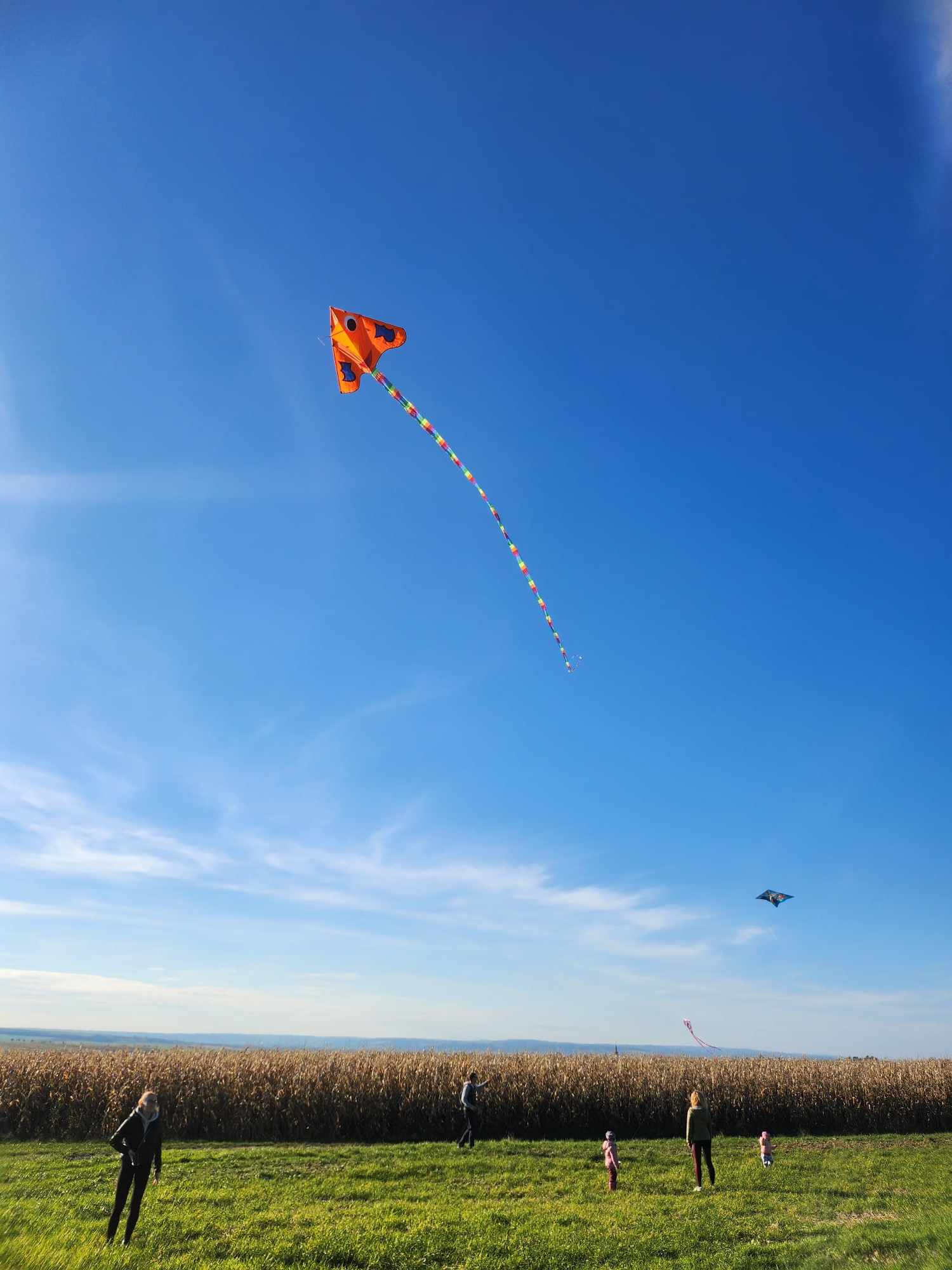 462553820_440268498728378_7704263385246675139_n