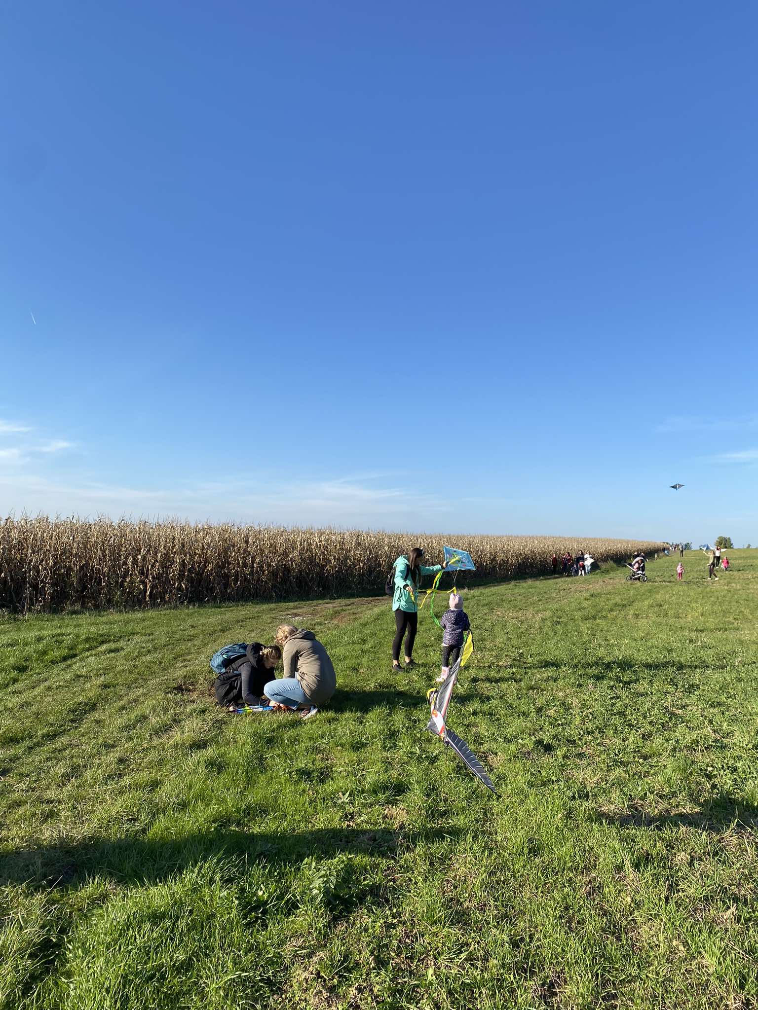 462543201_530785686574201_1277793896444099960_n