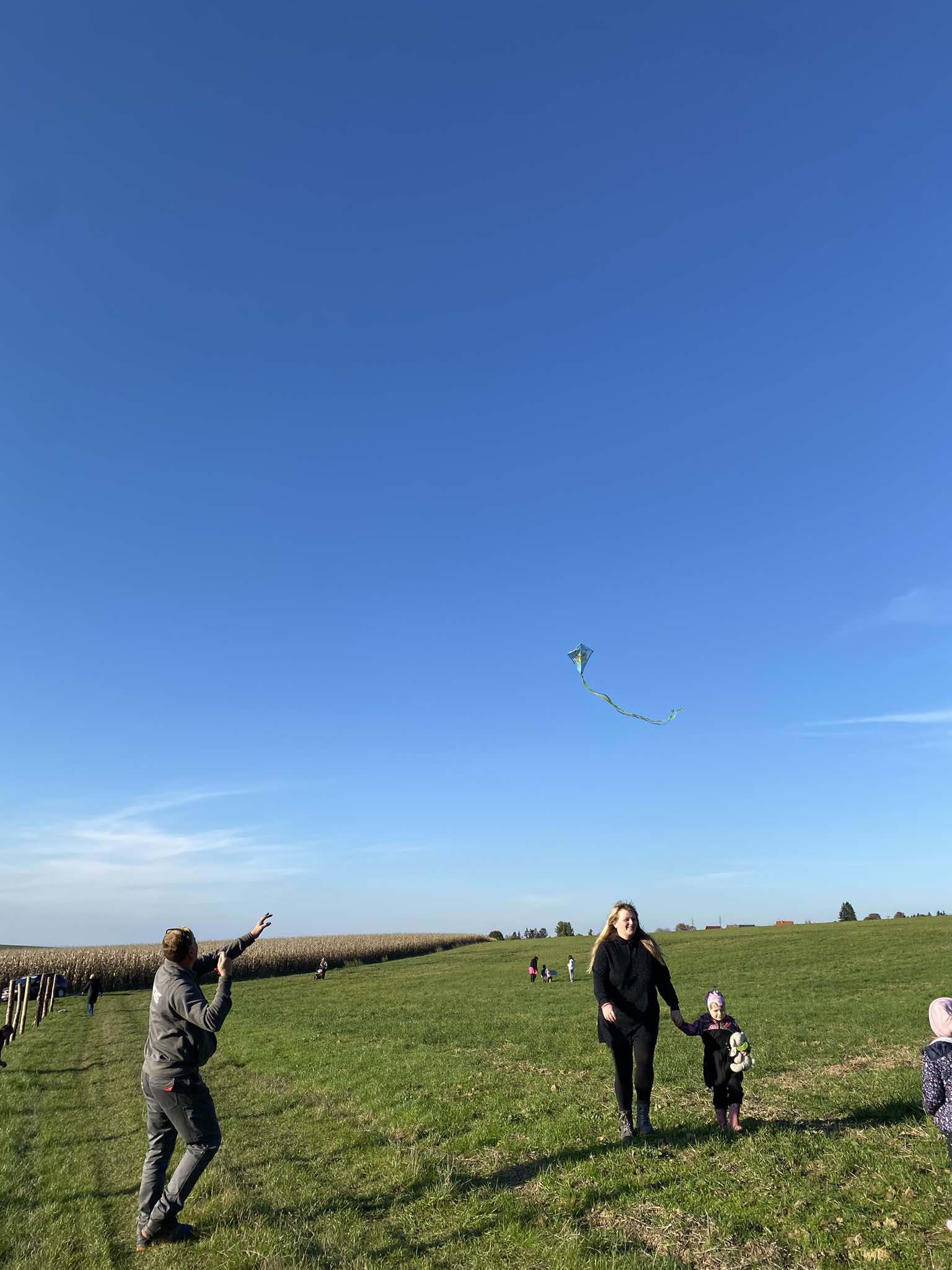 462561288_1608148779913319_3216726730435058172_n