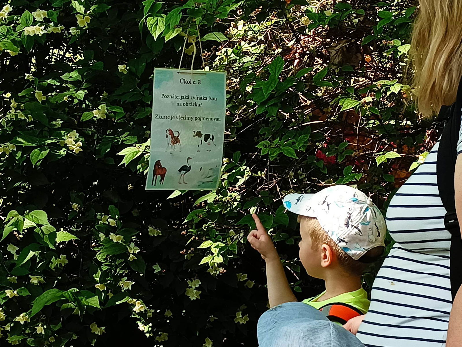 348358417_621524566604338_18194247912604112_n