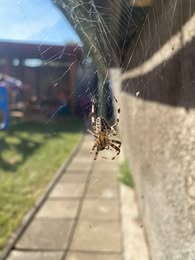 541039653_1640623810229093_5084084125169336601_n