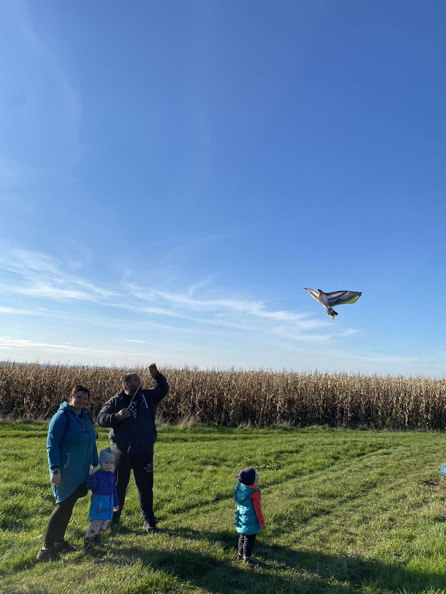 462542709_468062089588212_2614411339470803497_n