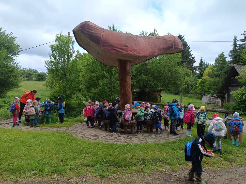 498932315_1386849812385211_871796800575771370_n