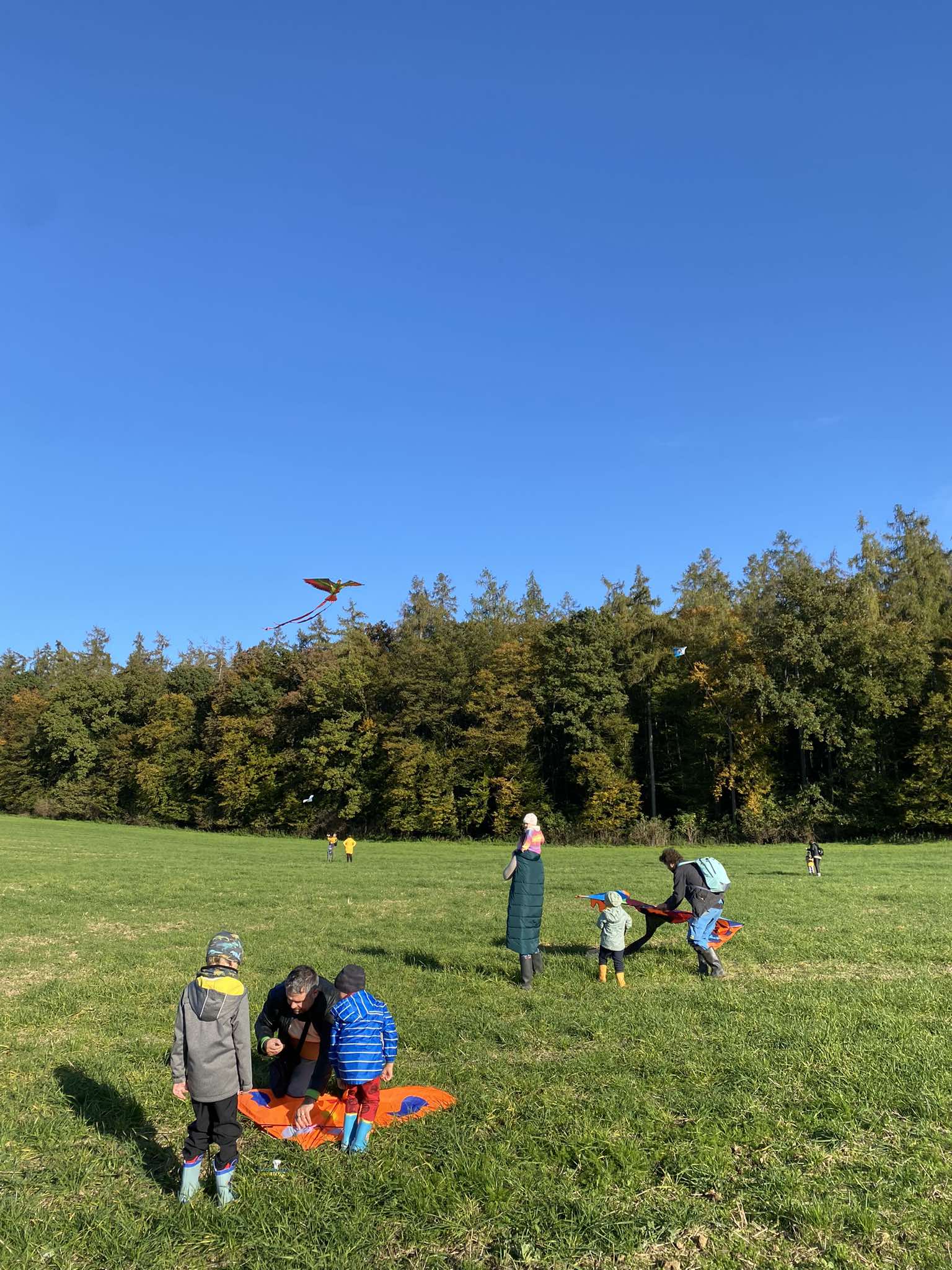 462558451_2319031822349731_5373564382524235410_n