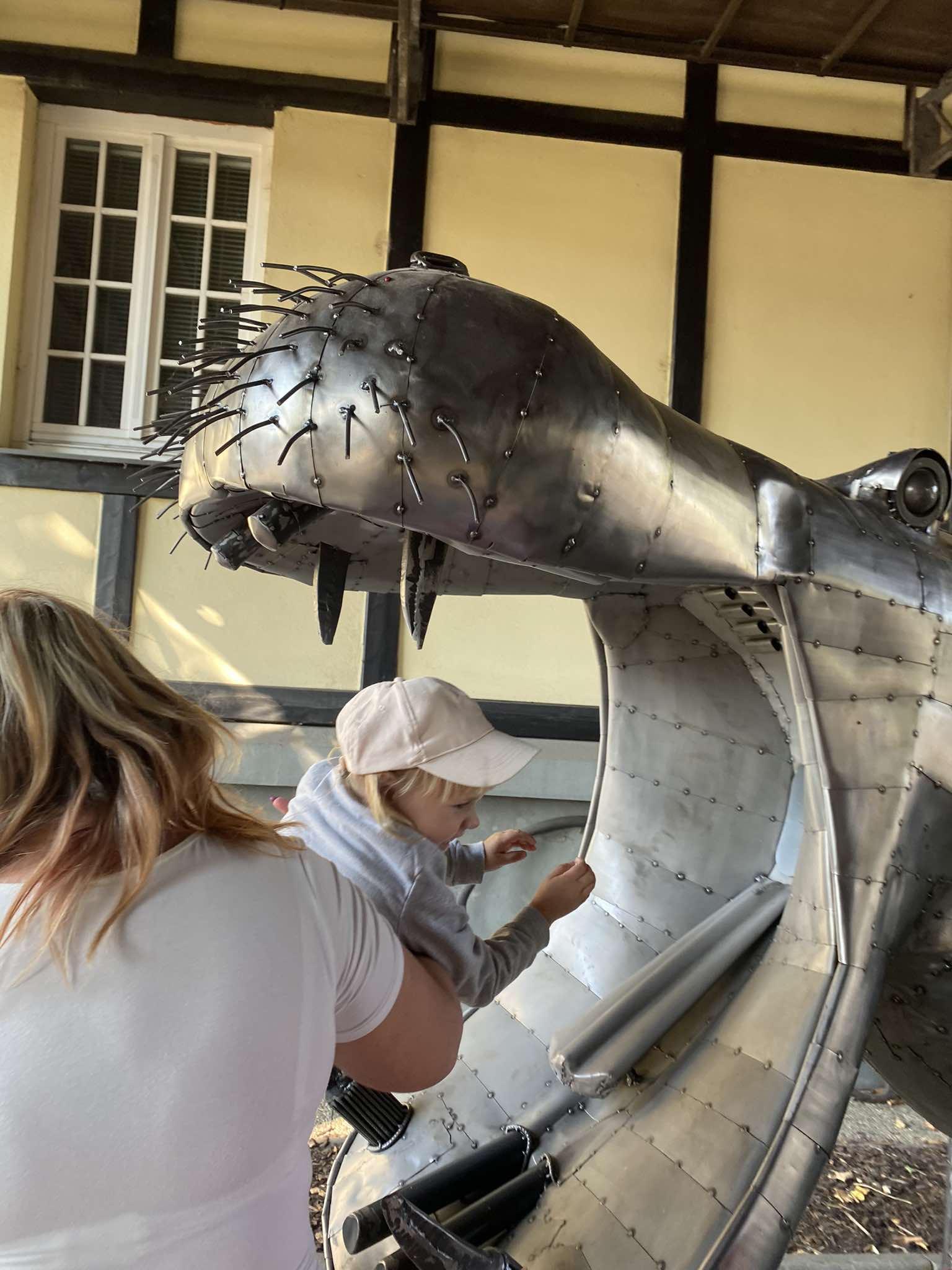 459293682_492894276952261_2538843612841550779_n