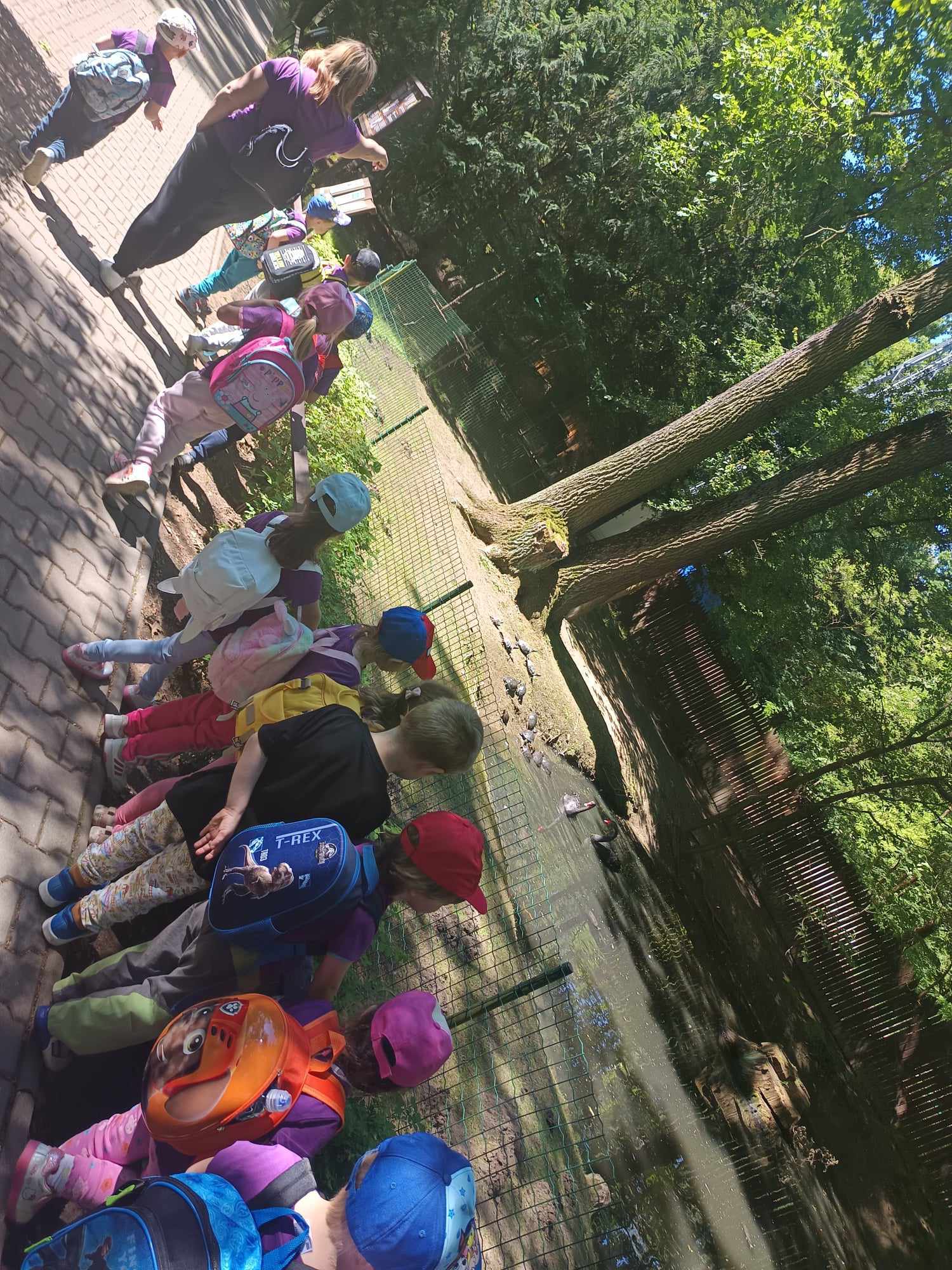 441958585_1392558648127649_2152368960545682952_n