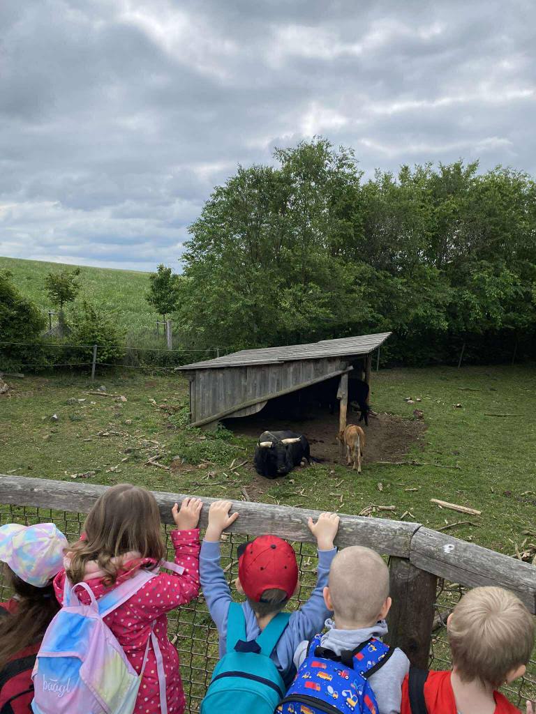 499595127_1386849765718549_2916998726415981009_n