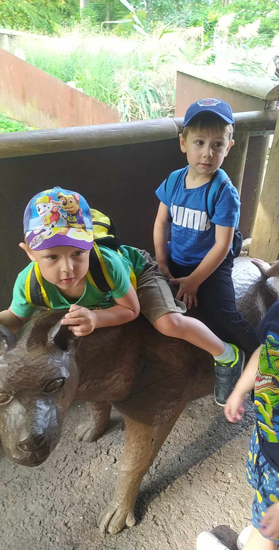 378255431_342951564754642_8755071378948283291_n