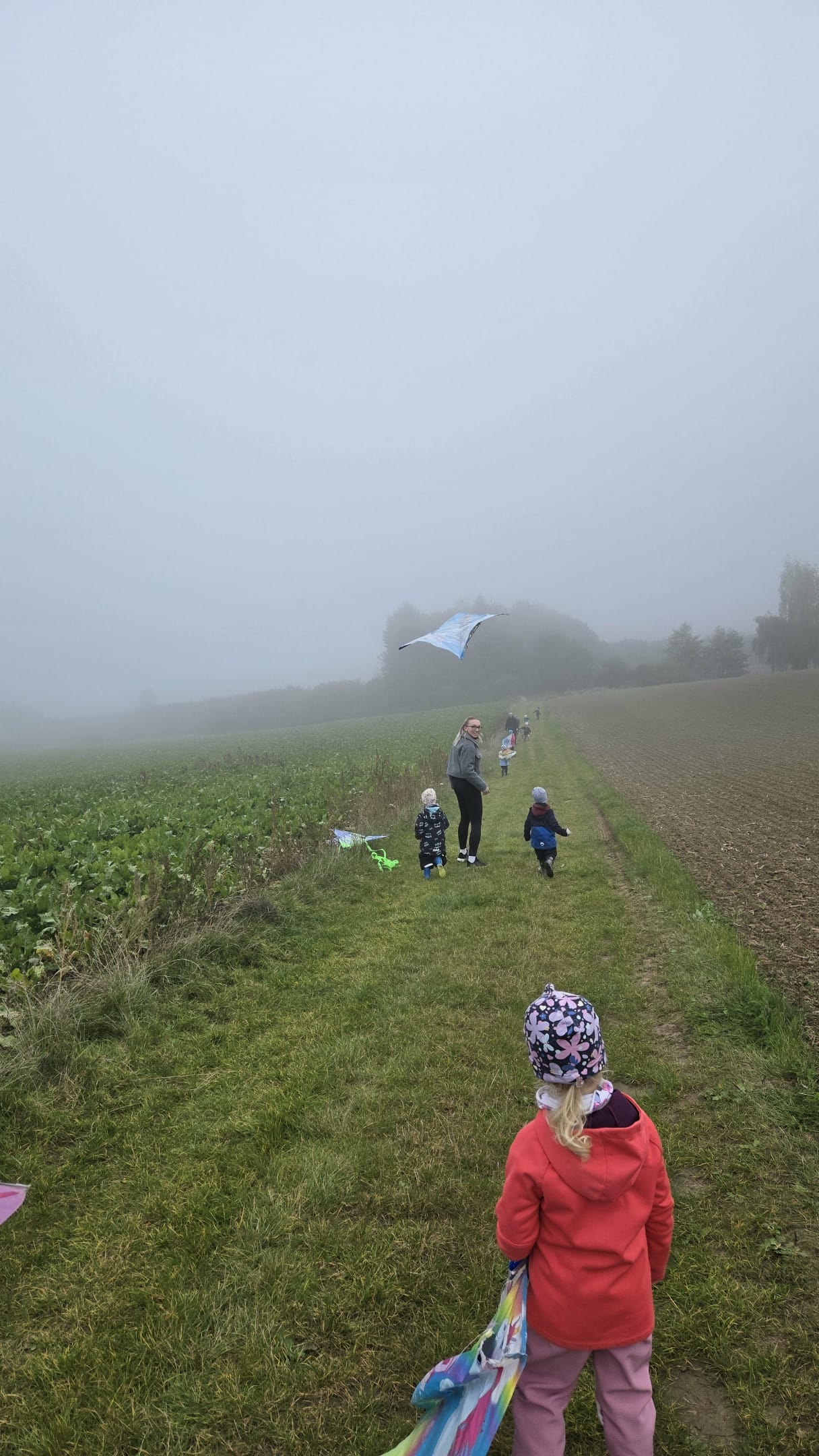 e00d471a-8e5c-45fe-bdce-6fb185a2d1cc