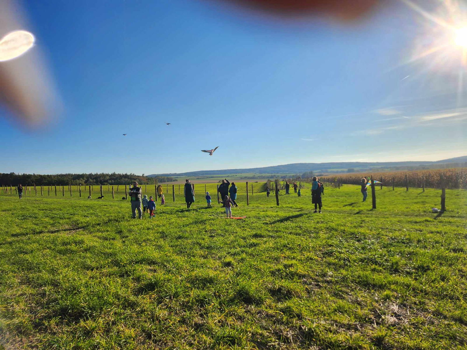 462535893_1592682965463985_8778582227177033992_n