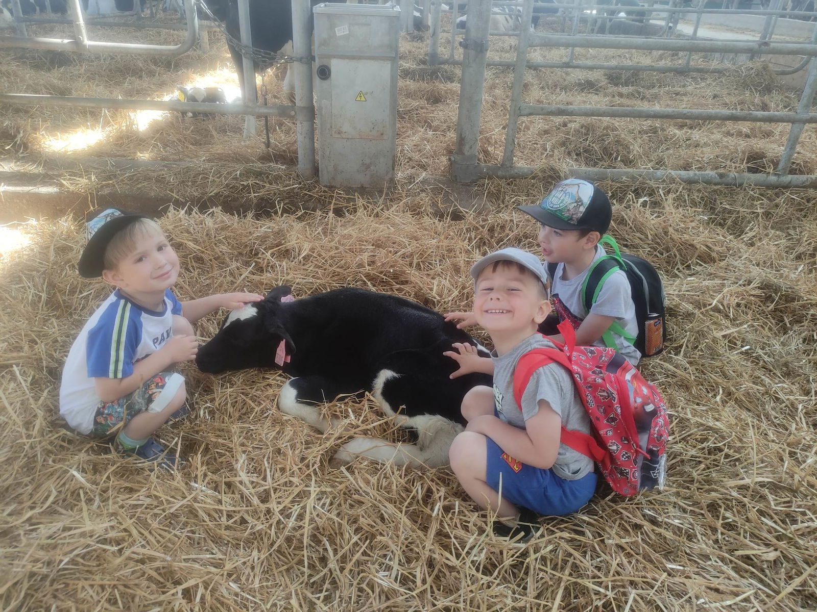 354450464_1337351820182808_1229208830712110353_n