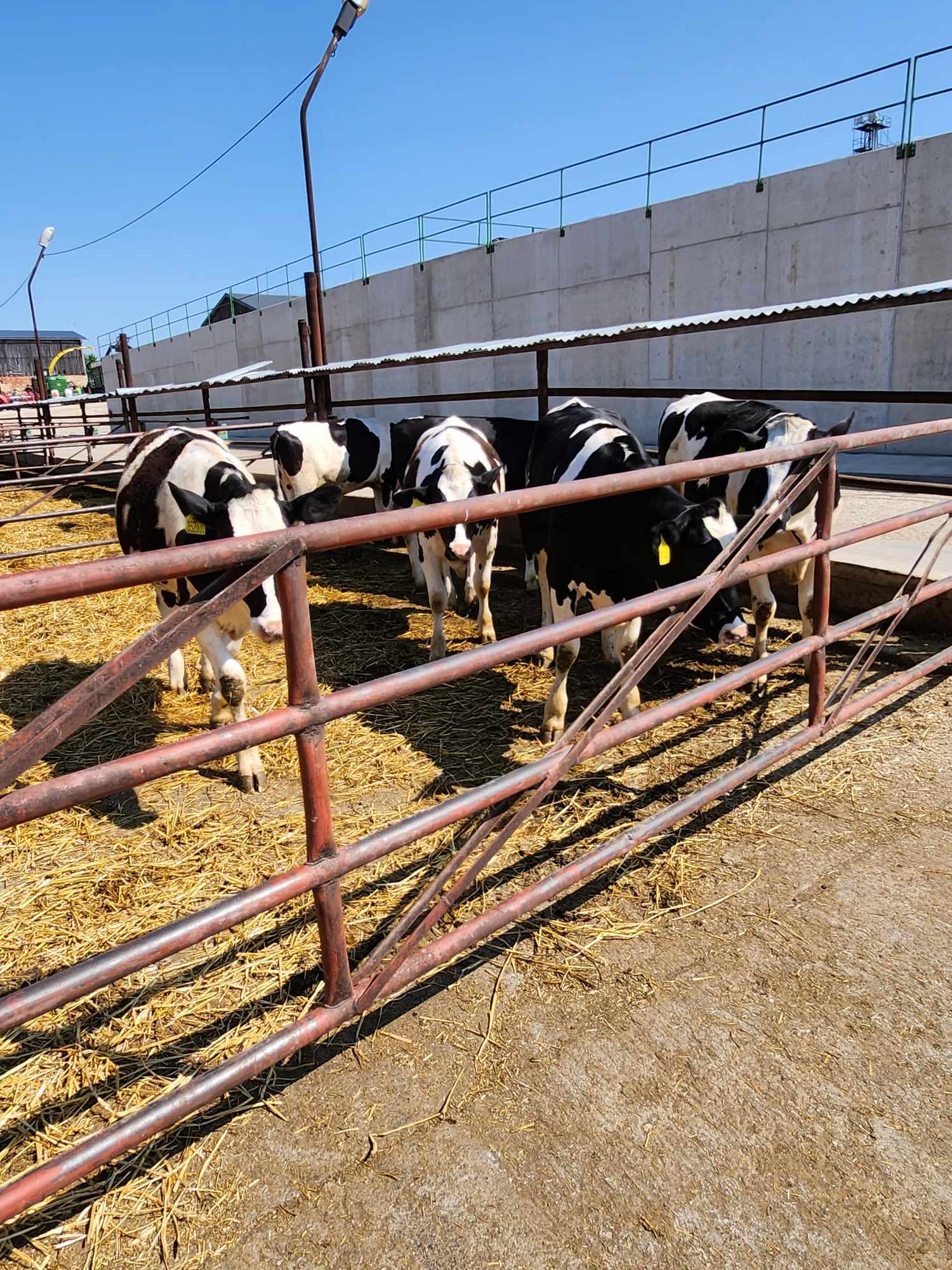 353810278_1473697096767083_2916784790580794001_n