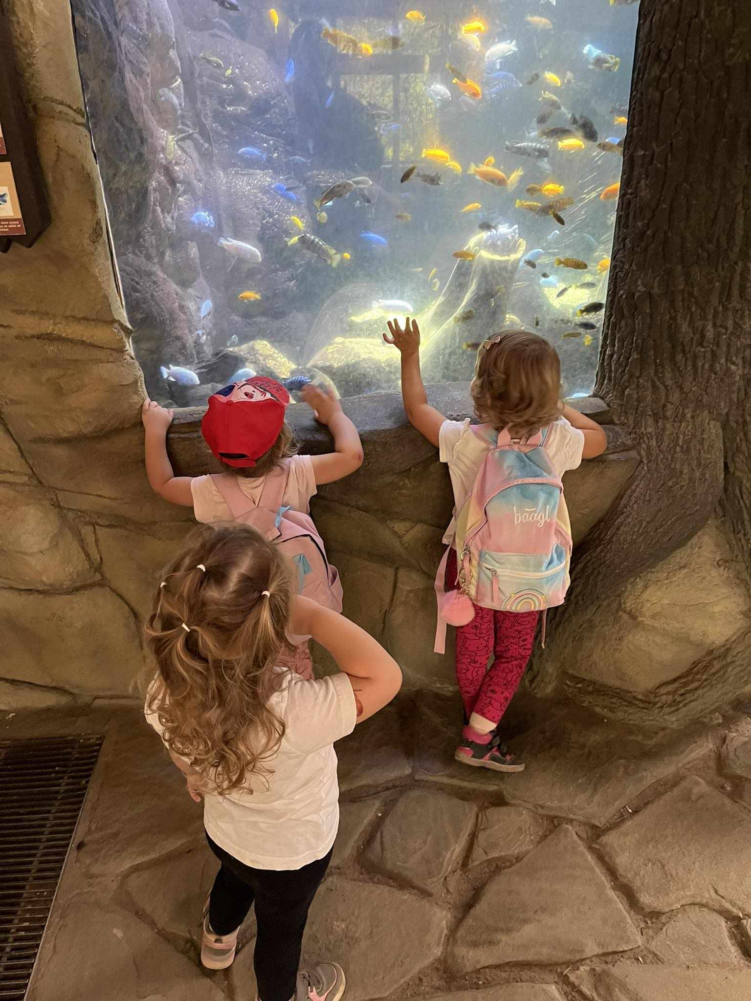 378283916_1555559938606261_7249473348294660077_n