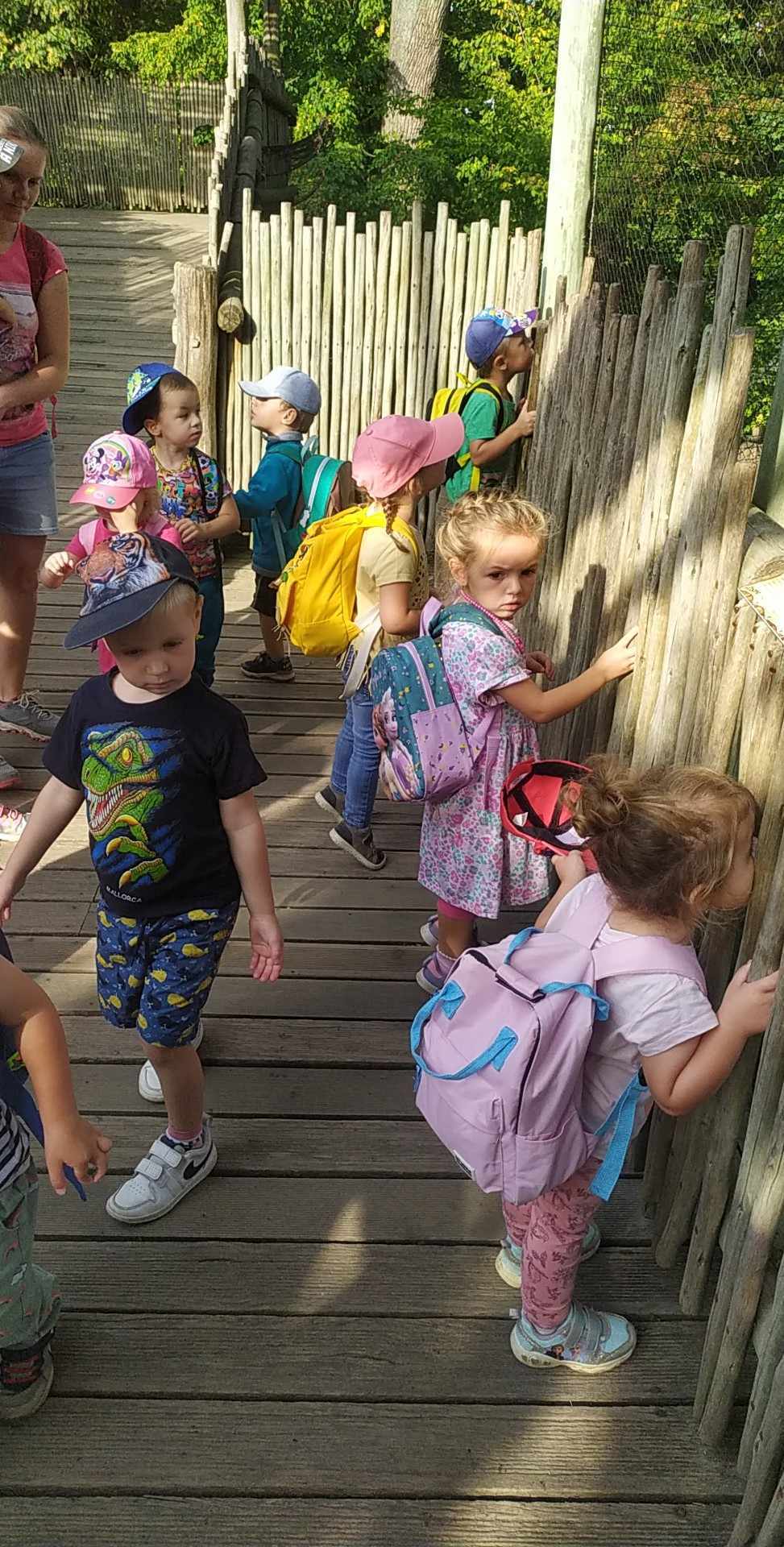 378138782_154286944398583_8841644434674725439_n