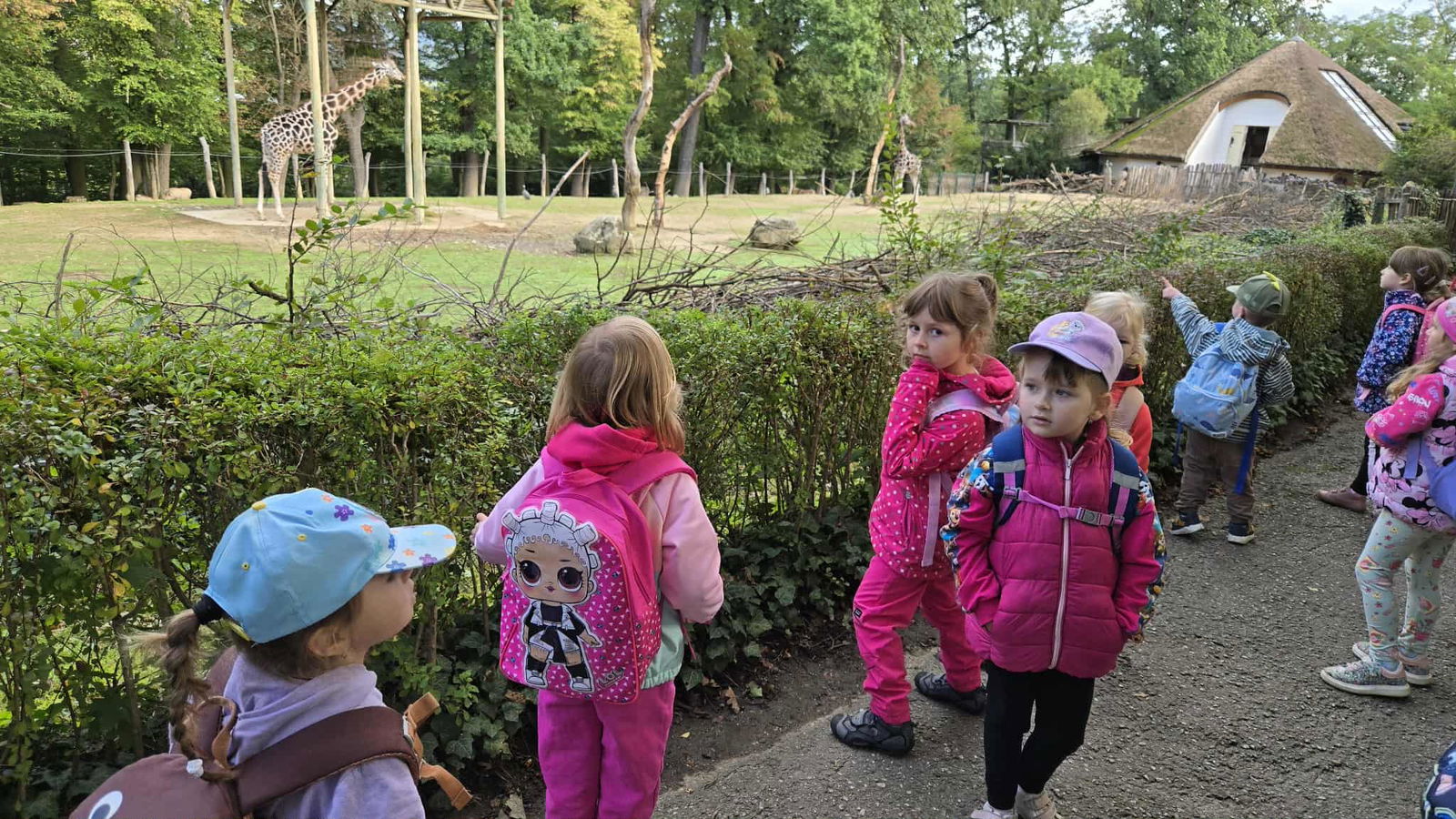 c5dc822f-4896-4d1f-a3d2-2852793511a6