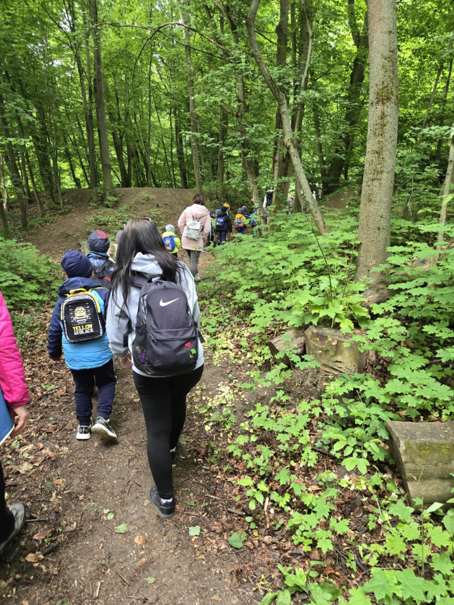 cc4ff5d2-810b-4c39-b665-880b897832c9