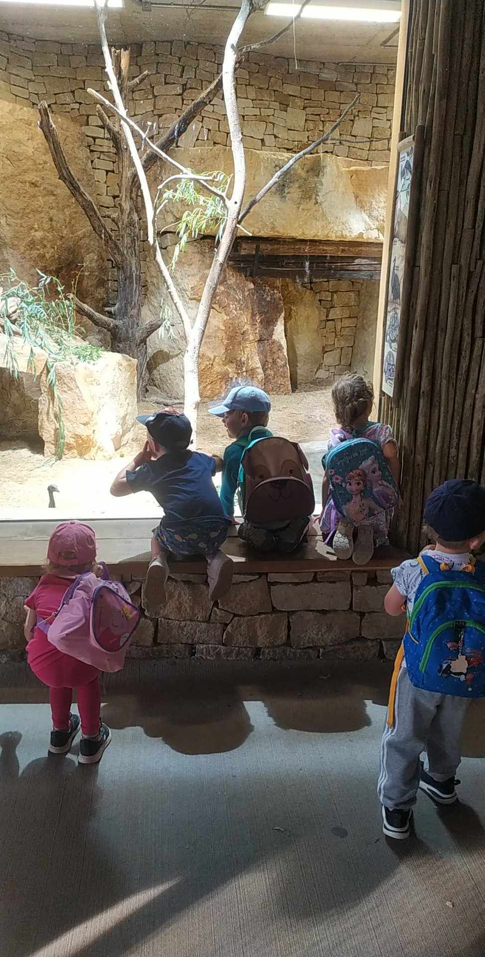 378278485_334865035768841_8163476819592767969_n