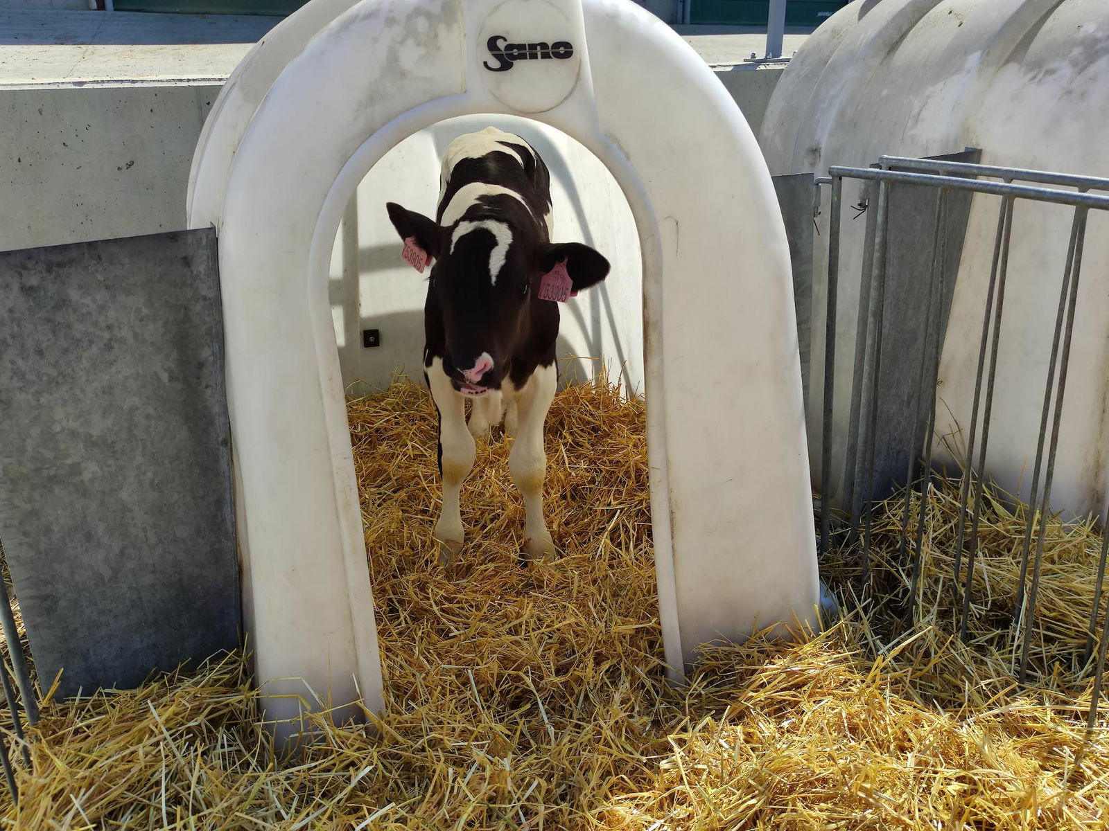 354649275_995340008289028_5852546197896354922_n