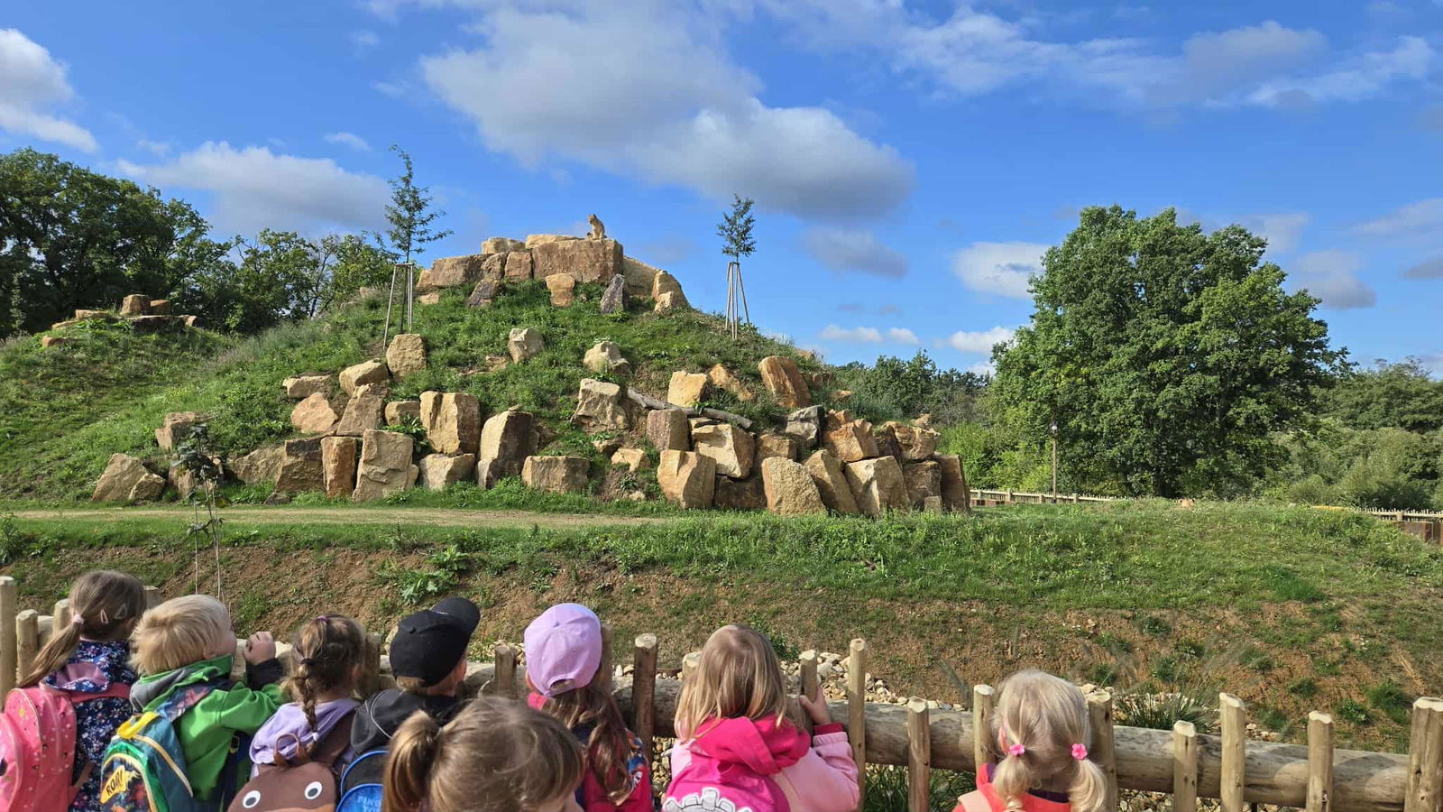 3aac00d1-0e60-408f-98c3-67d92dd69b73