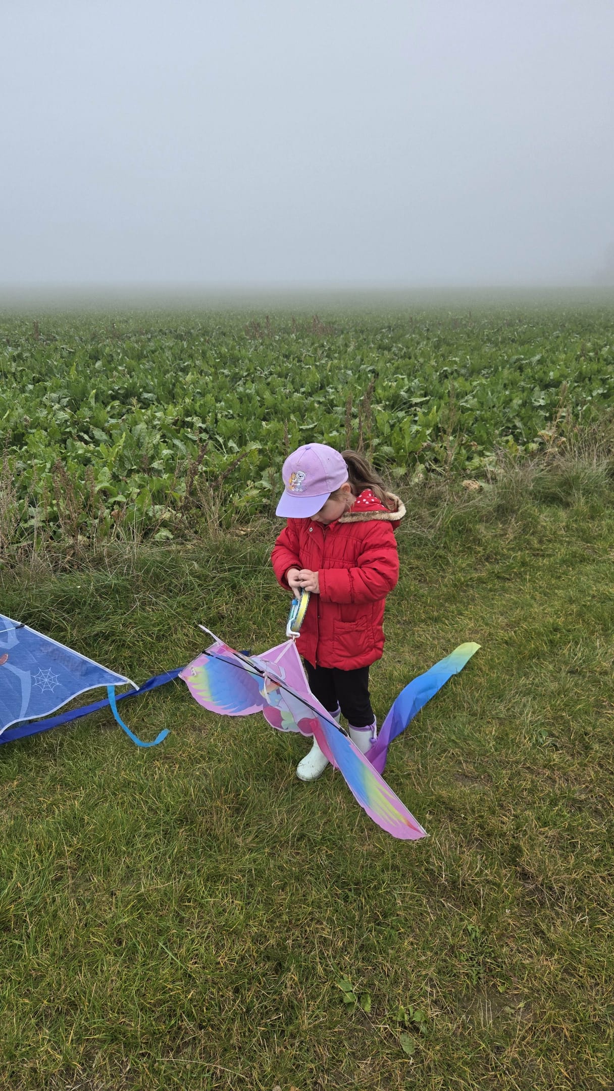 d7ce3f4d-67ba-47b9-b2f0-6dddcc6bedaf