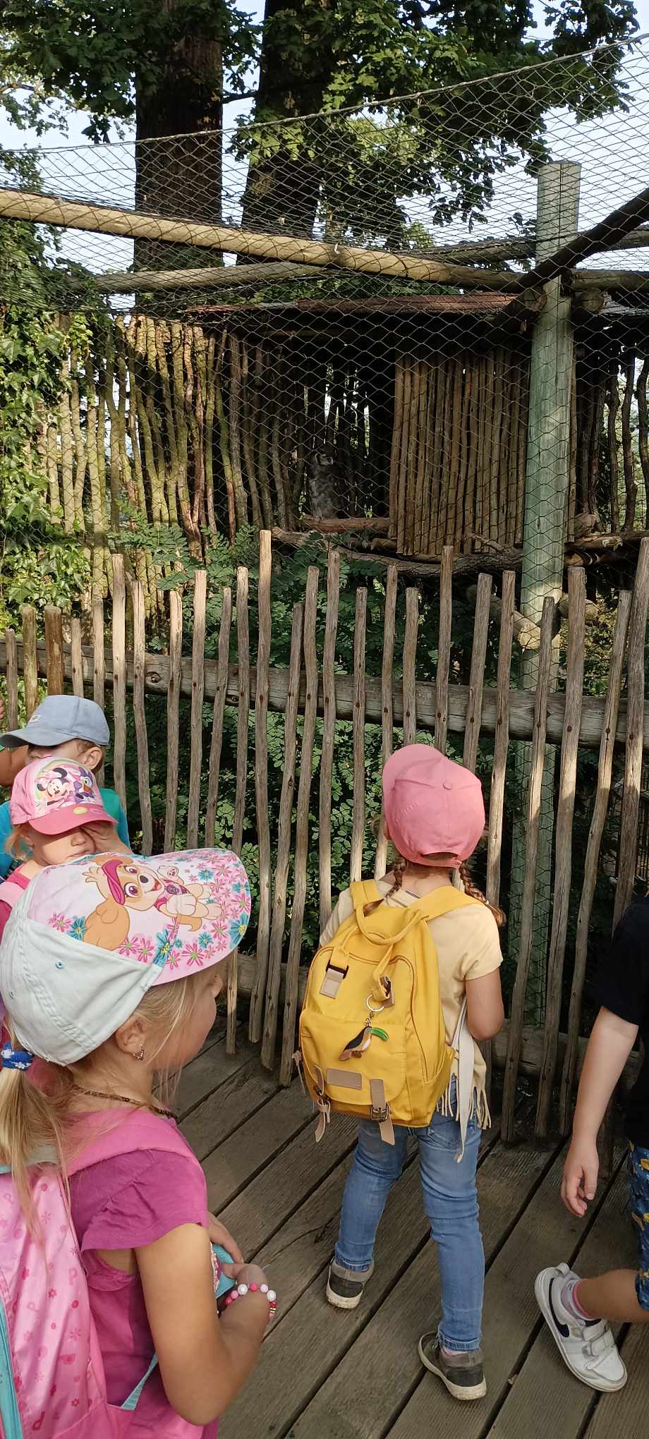 379263824_679716860744266_4831712035357040591_n