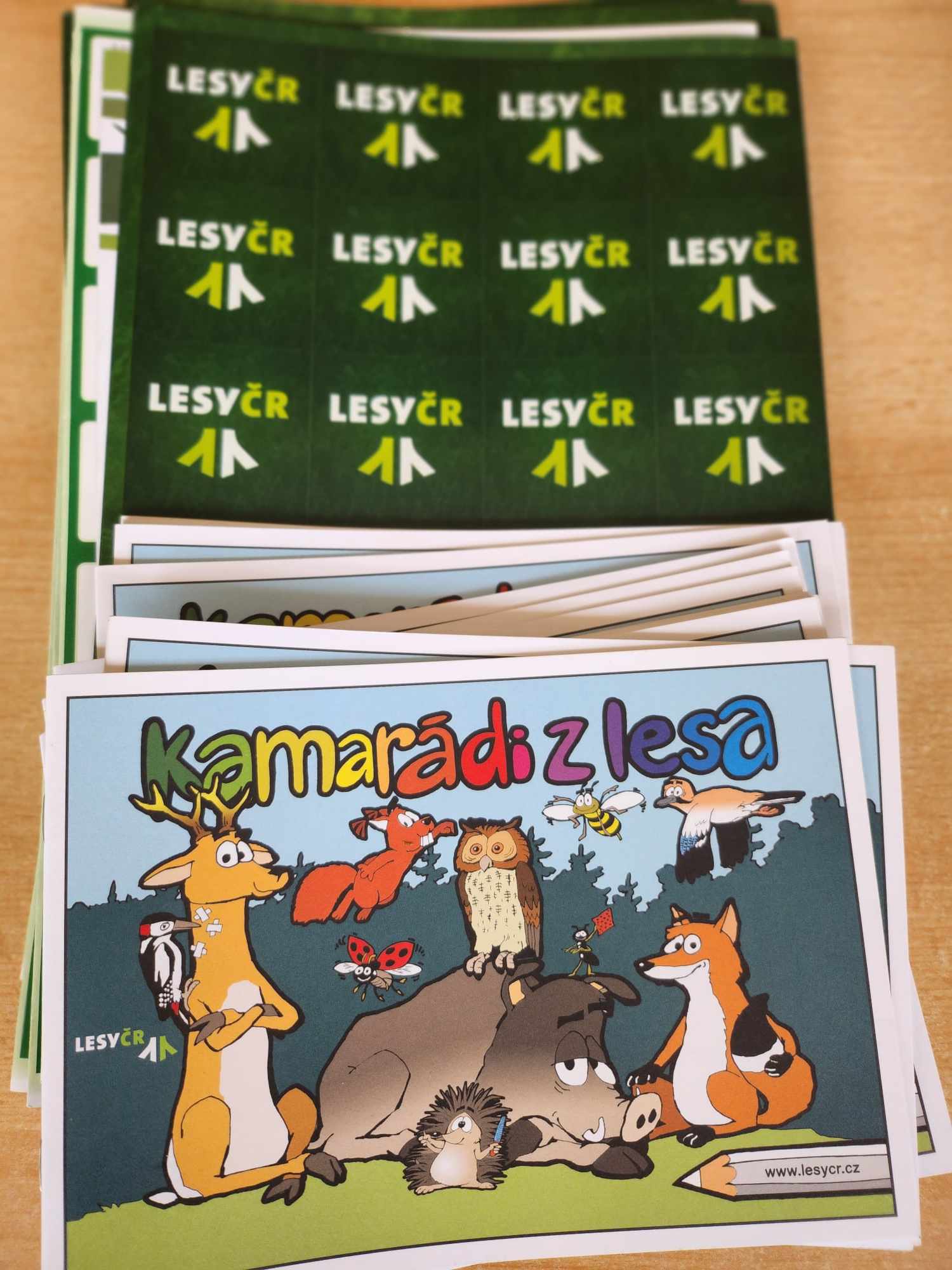 394027968_2274315526291739_9133700128918712798_n