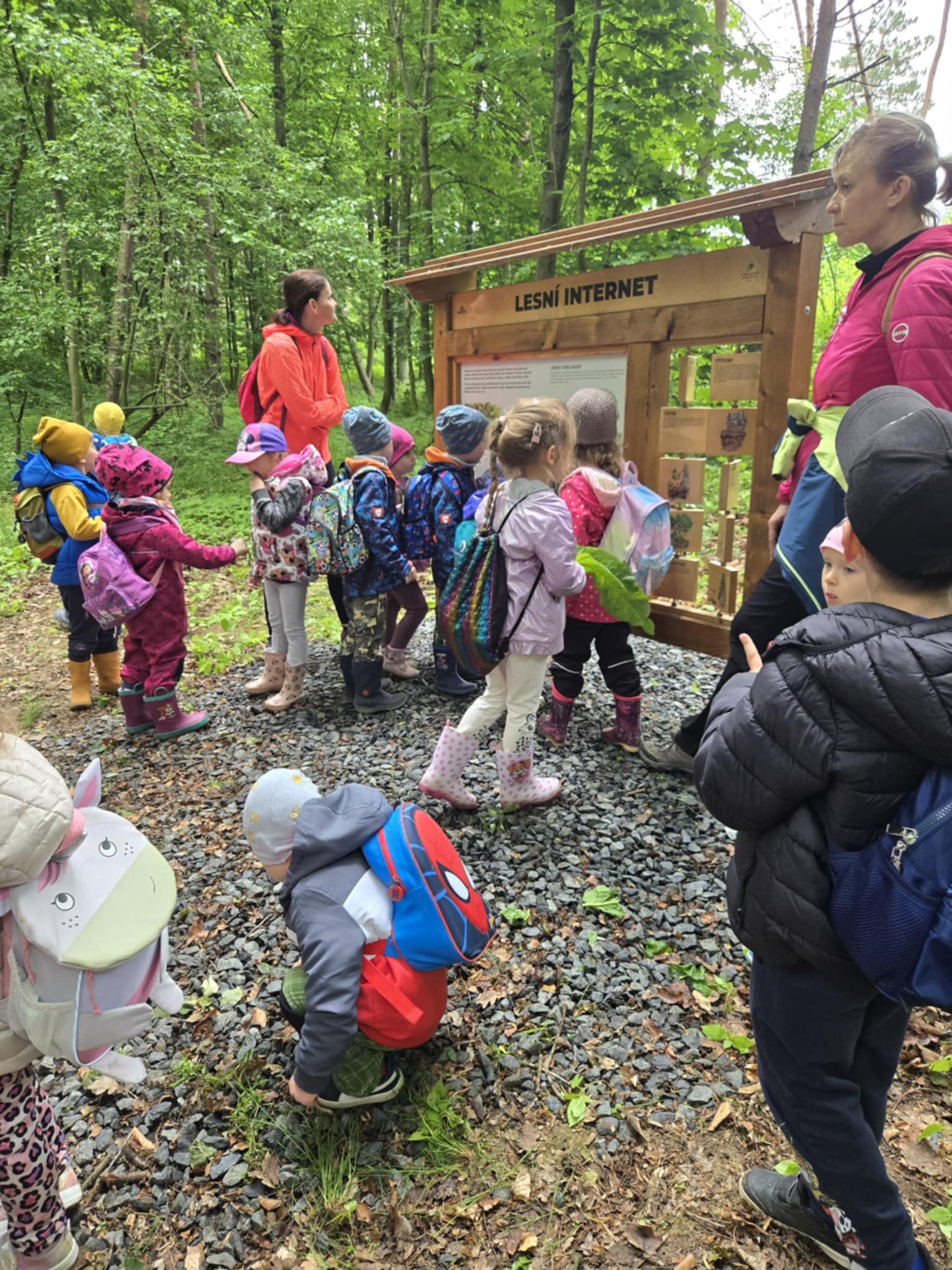 6645d07d-3a0b-487b-a052-fb0fc869fcce