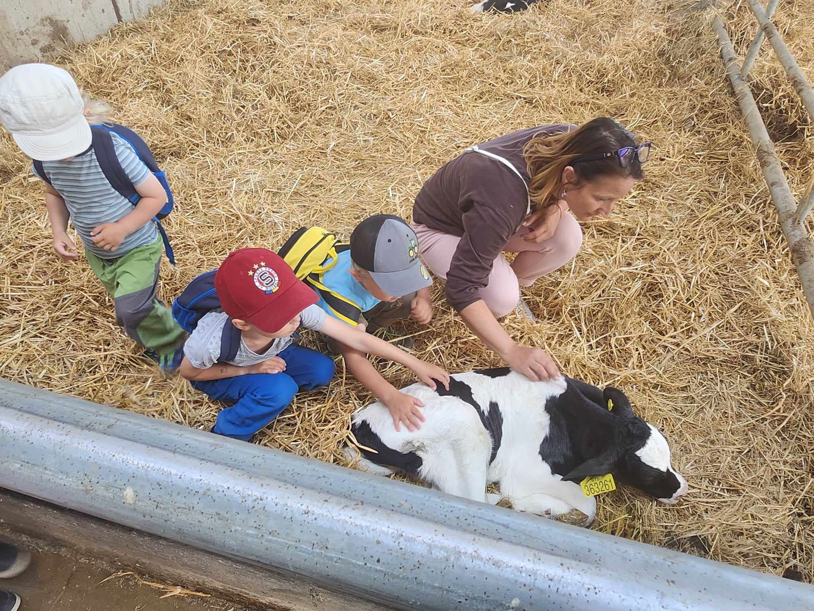 353861098_1674378663075226_8875007471351011580_n