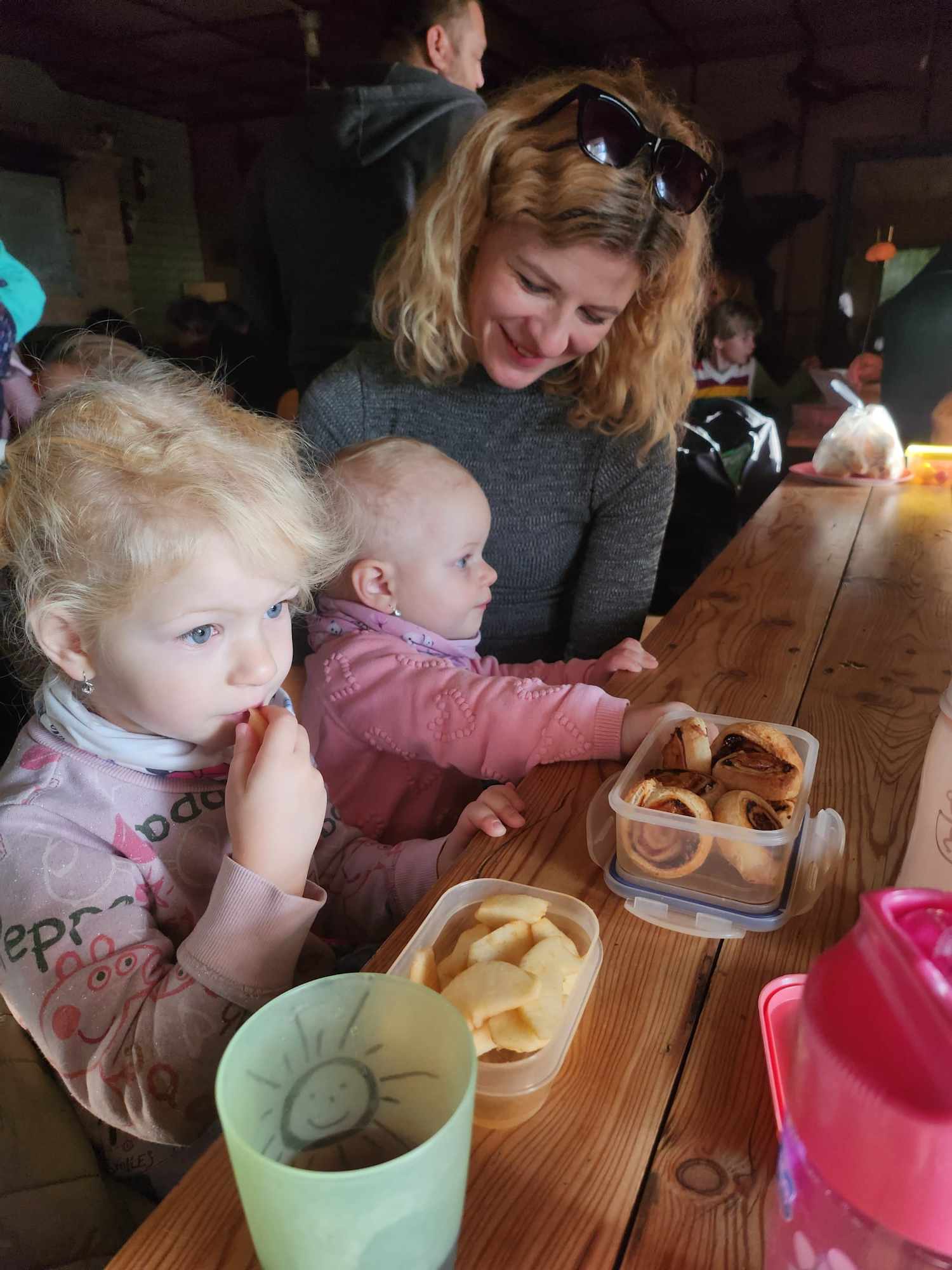 462547220_568767559133787_211197034568737147_n