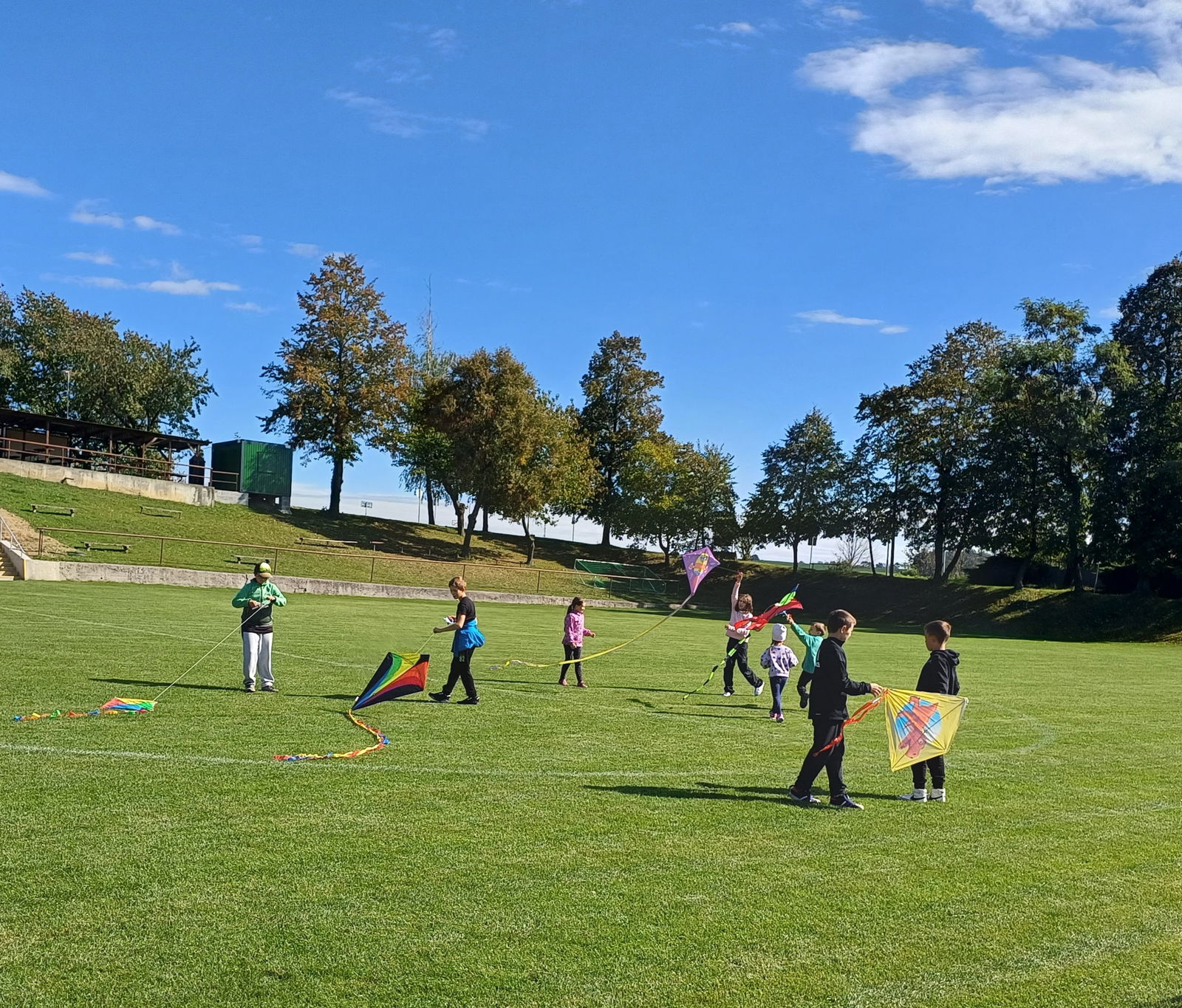 original_0c85fd1c-87d4-46e5-8bd2-e3aaba1024c3_20241001_130526