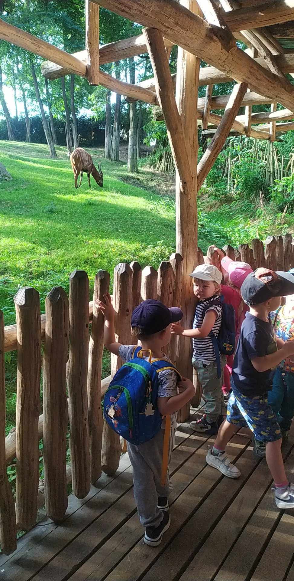 378255437_625438009674473_6052358411903962554_n