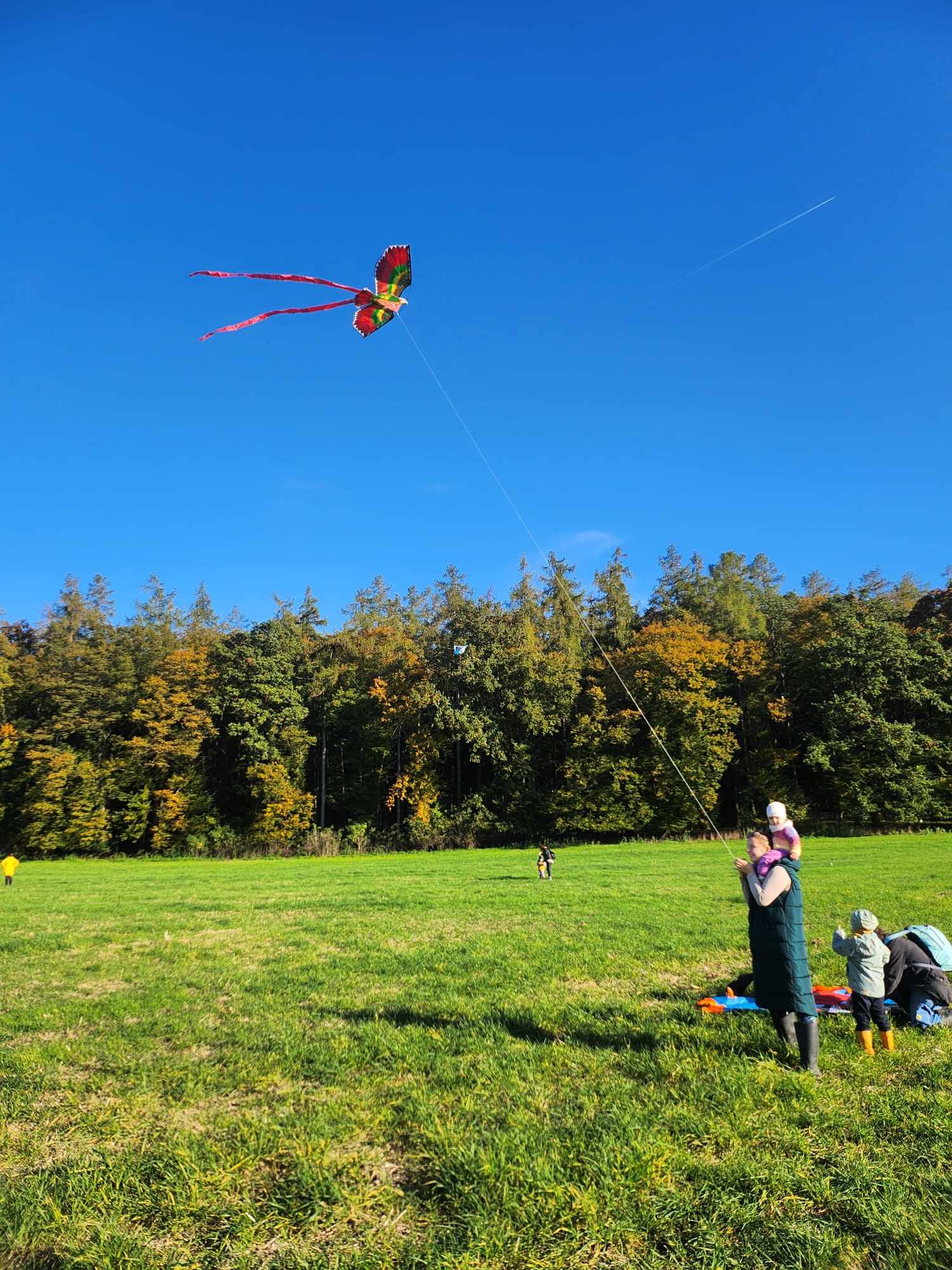 462536940_514547621415677_4506593785410101212_n