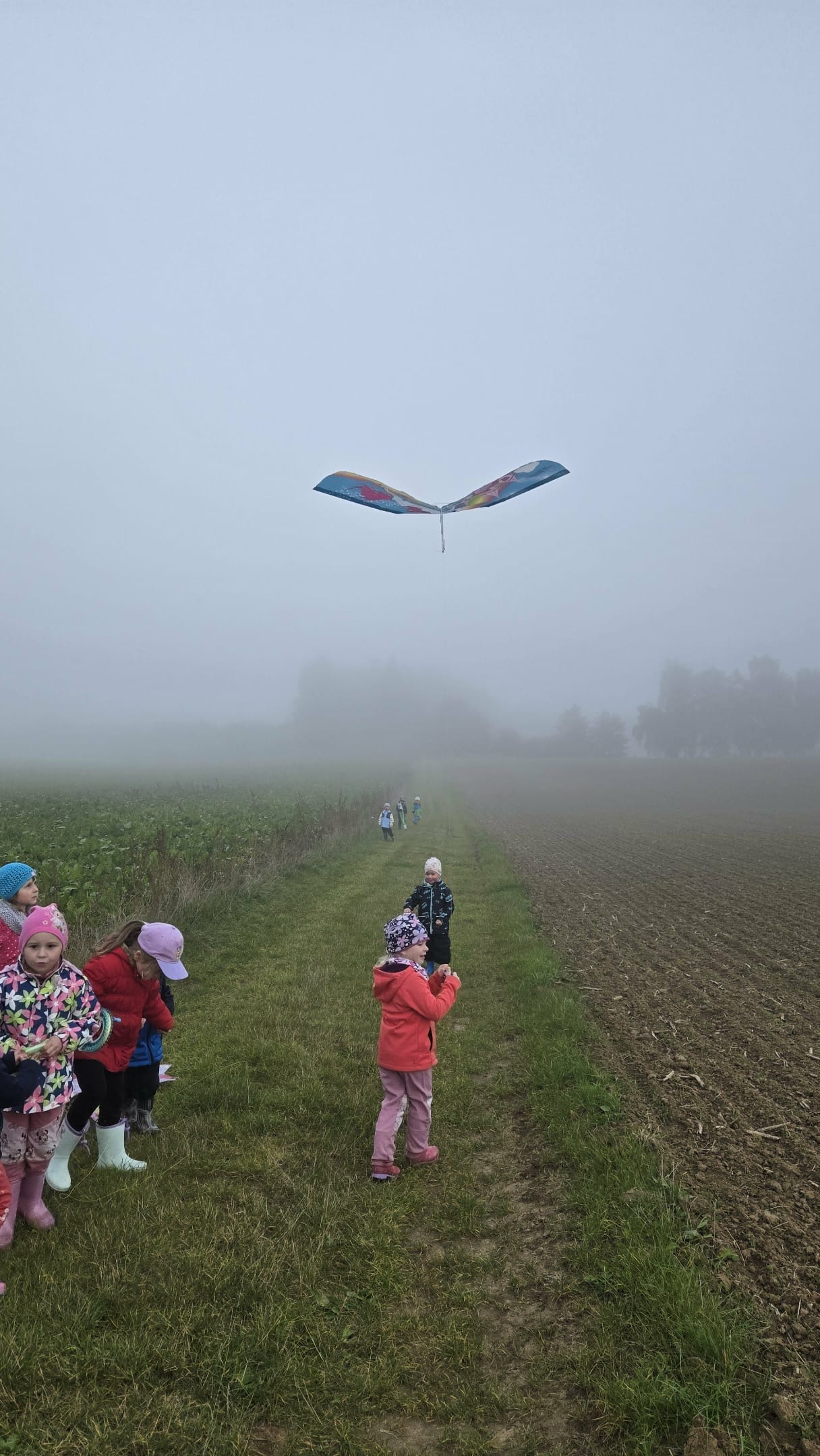 4724aa20-4737-41e0-a70c-846297dbff04