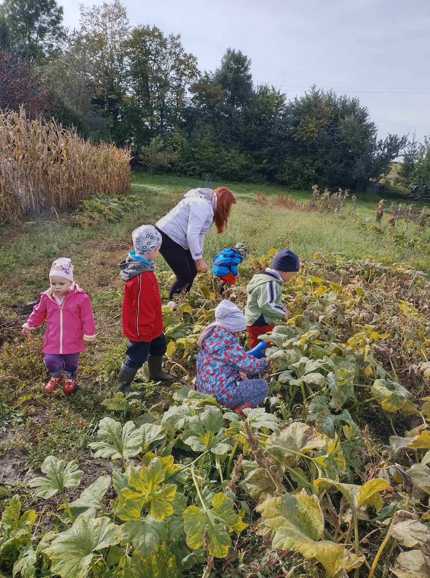 310423804_3438811059682181_2293937784802462876_n