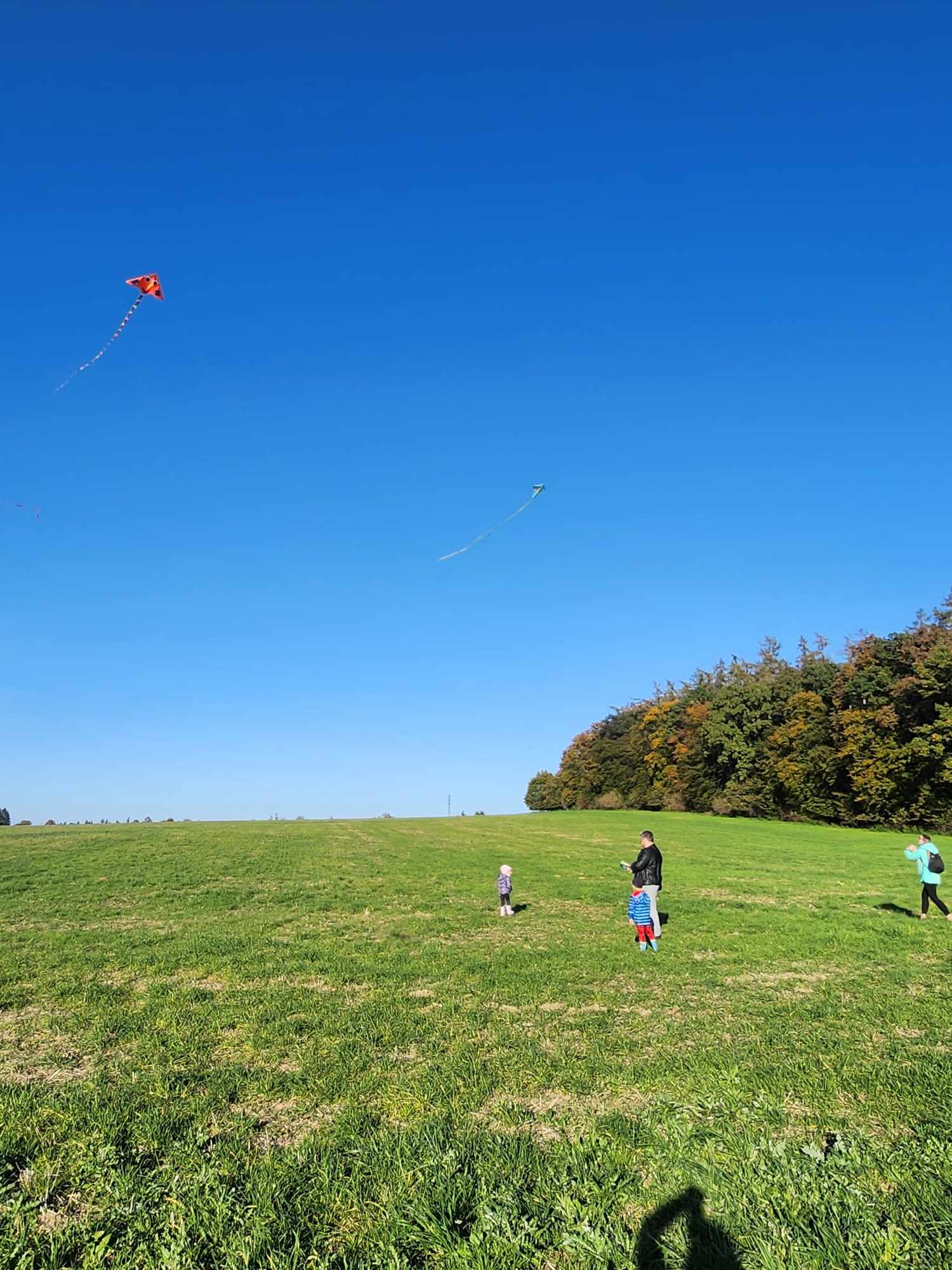 462539862_965594688948281_3344755956104423205_n