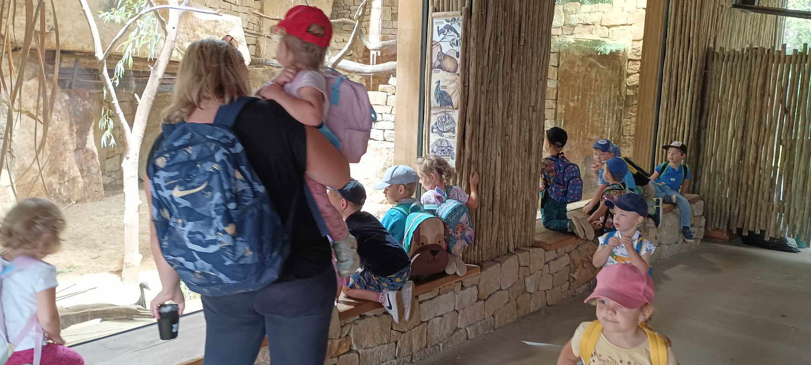 379321599_988633535686991_6267318194796766226_n