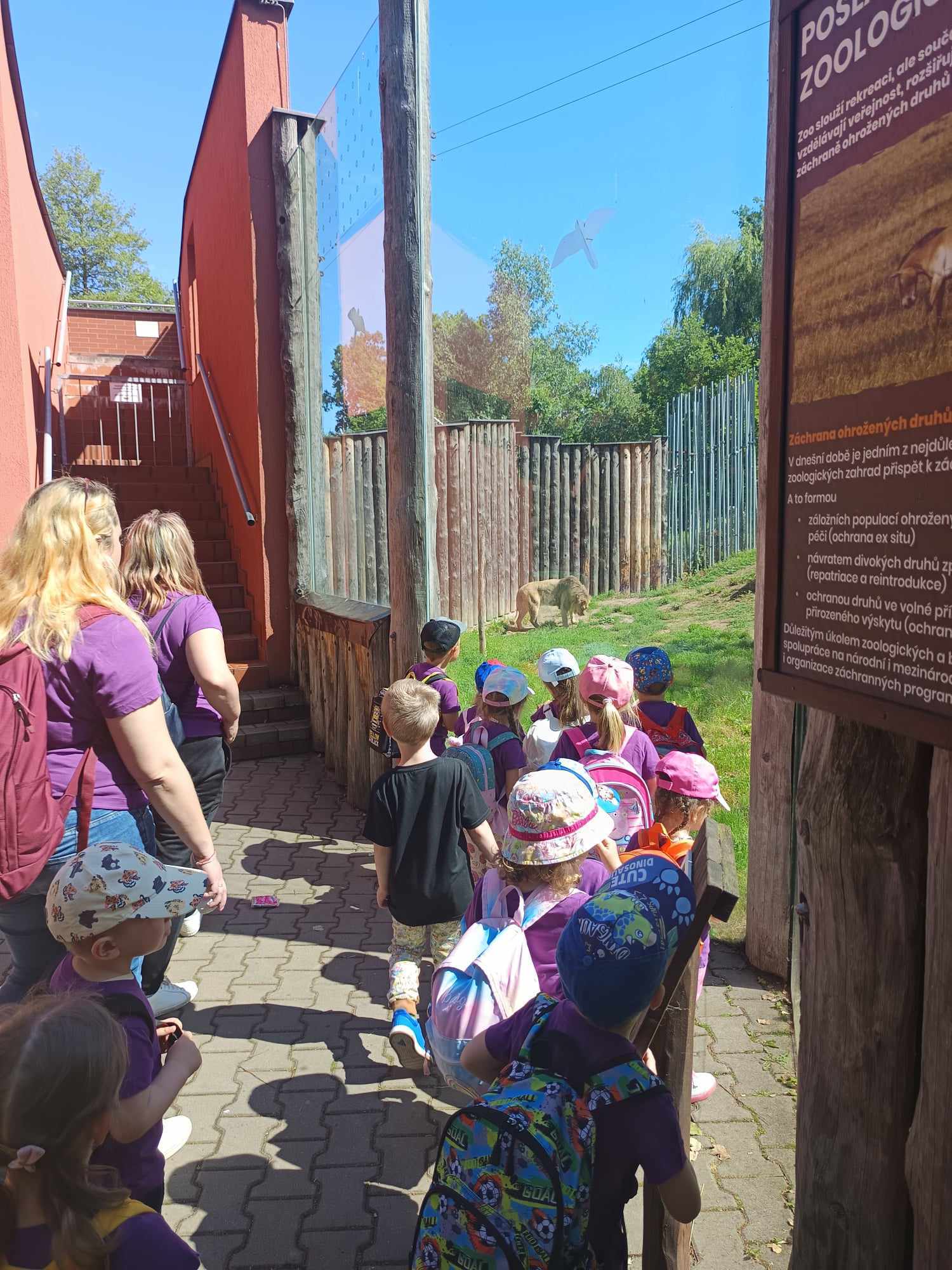 441945347_1135858560955291_8675931974516639302_n