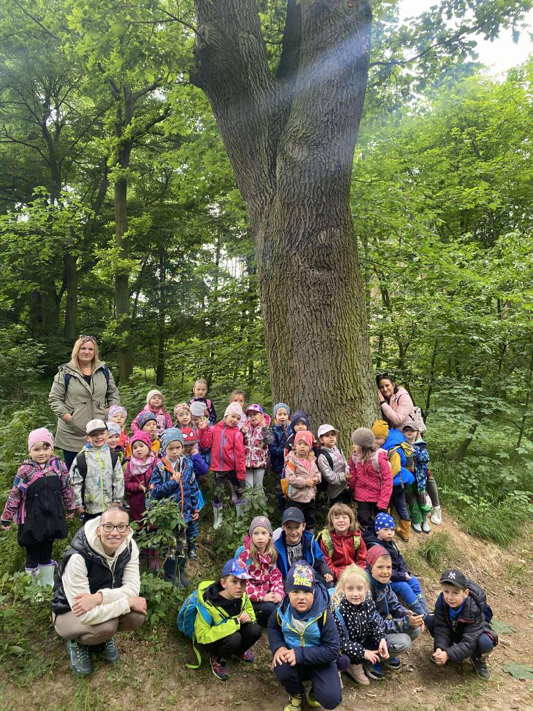 499545784_1386849195718606_6747966770819638665_n