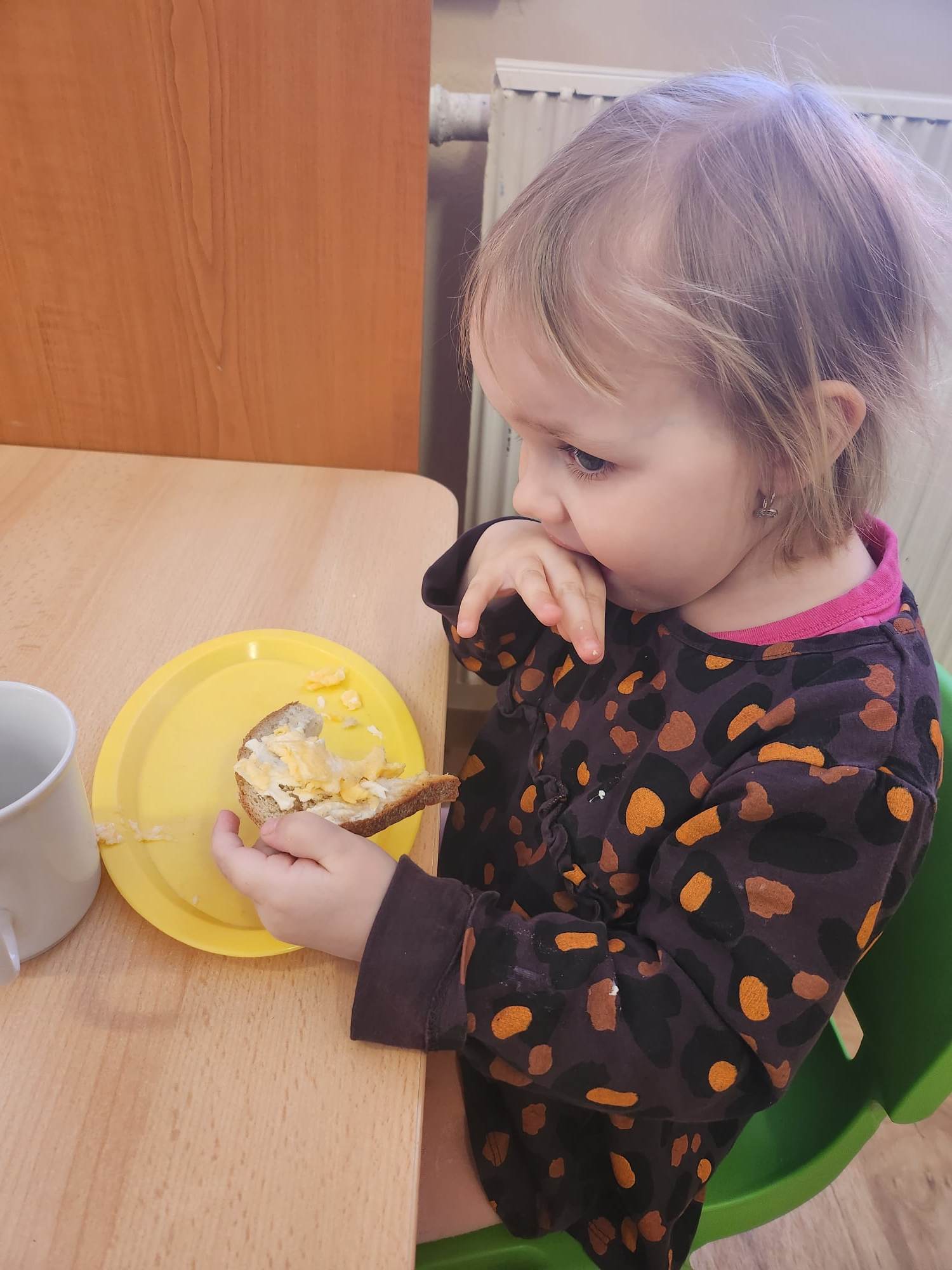 340295069_187363857514974_4225545490875171391_n