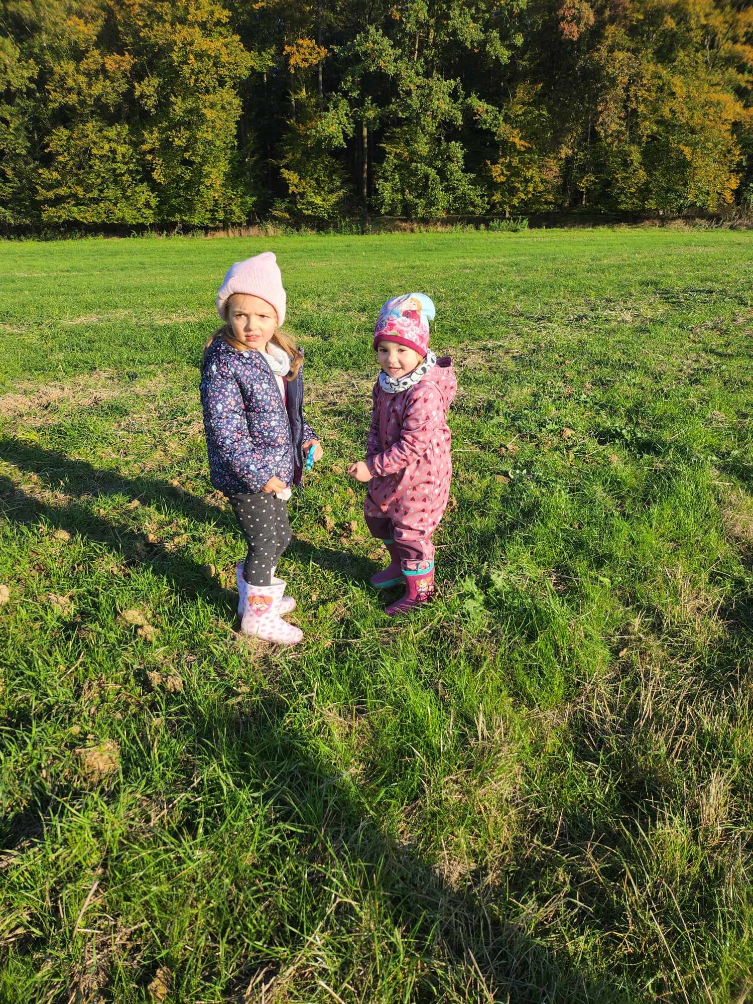 462545572_543434118576017_6230057391197856573_n