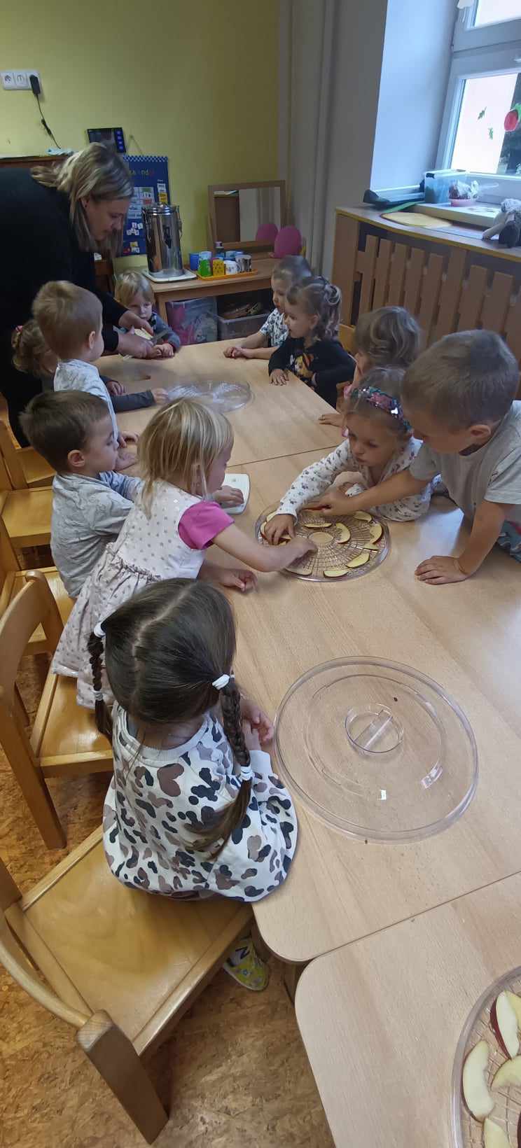 387329506_156806994111802_7104953905253126422_n