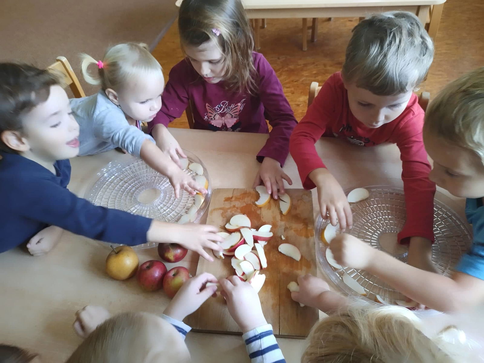 311352431_1460837907749010_2427904986884913061_n