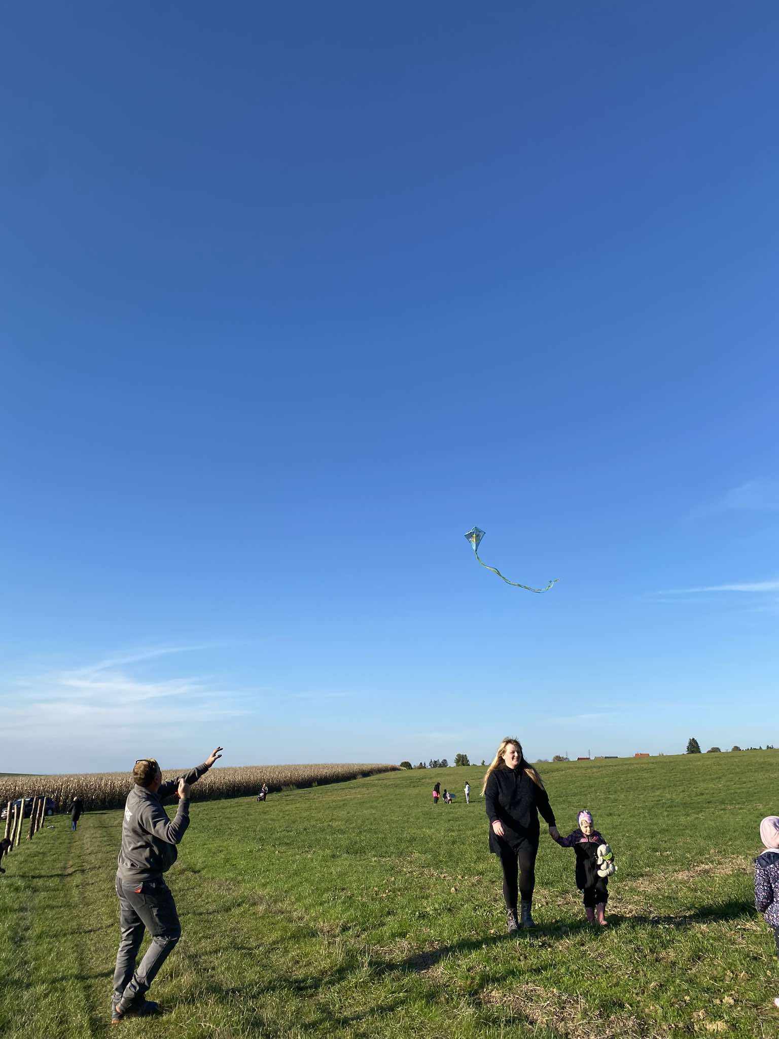 462547187_926352206008581_2313080587584437323_n