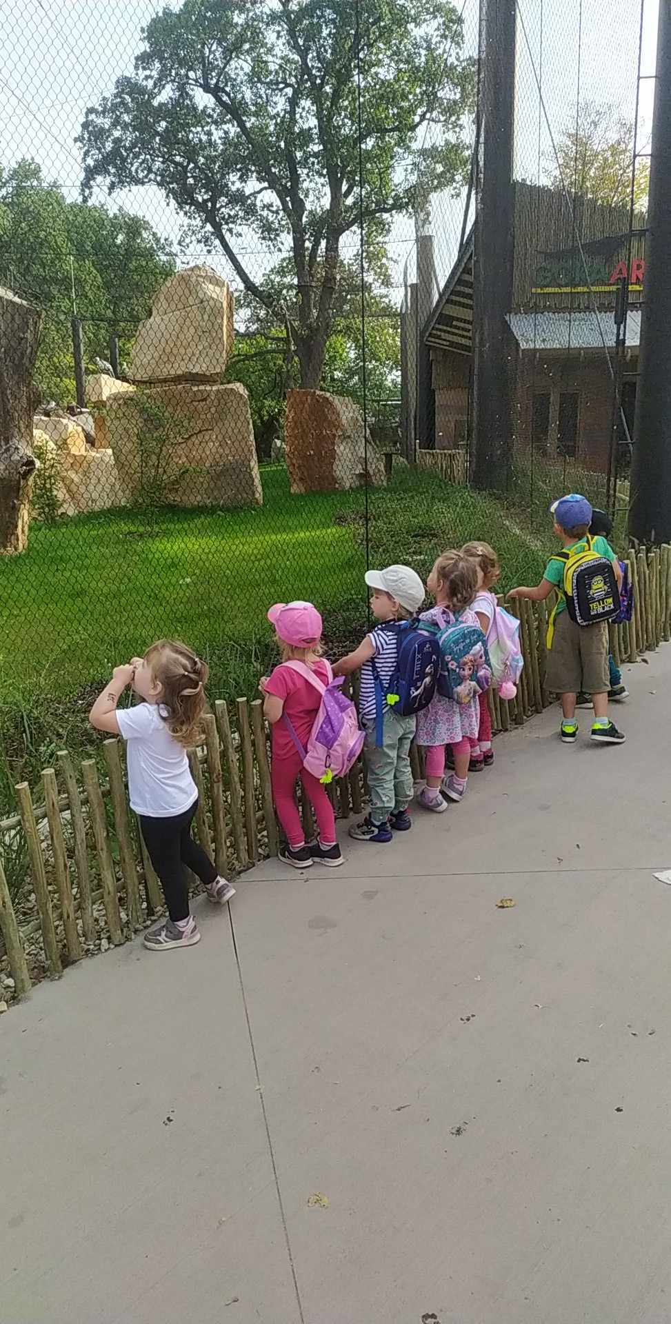 378295738_865161097876701_4842713920804162598_n