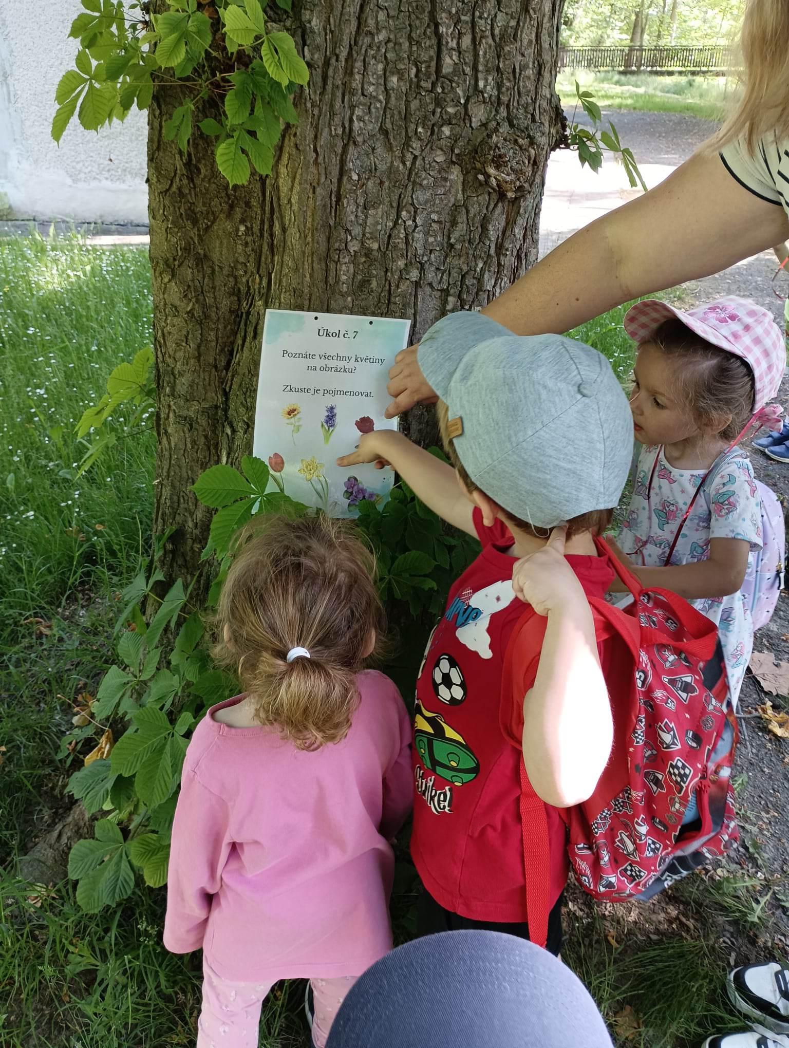 348359008_645352140961142_682094371966475049_n